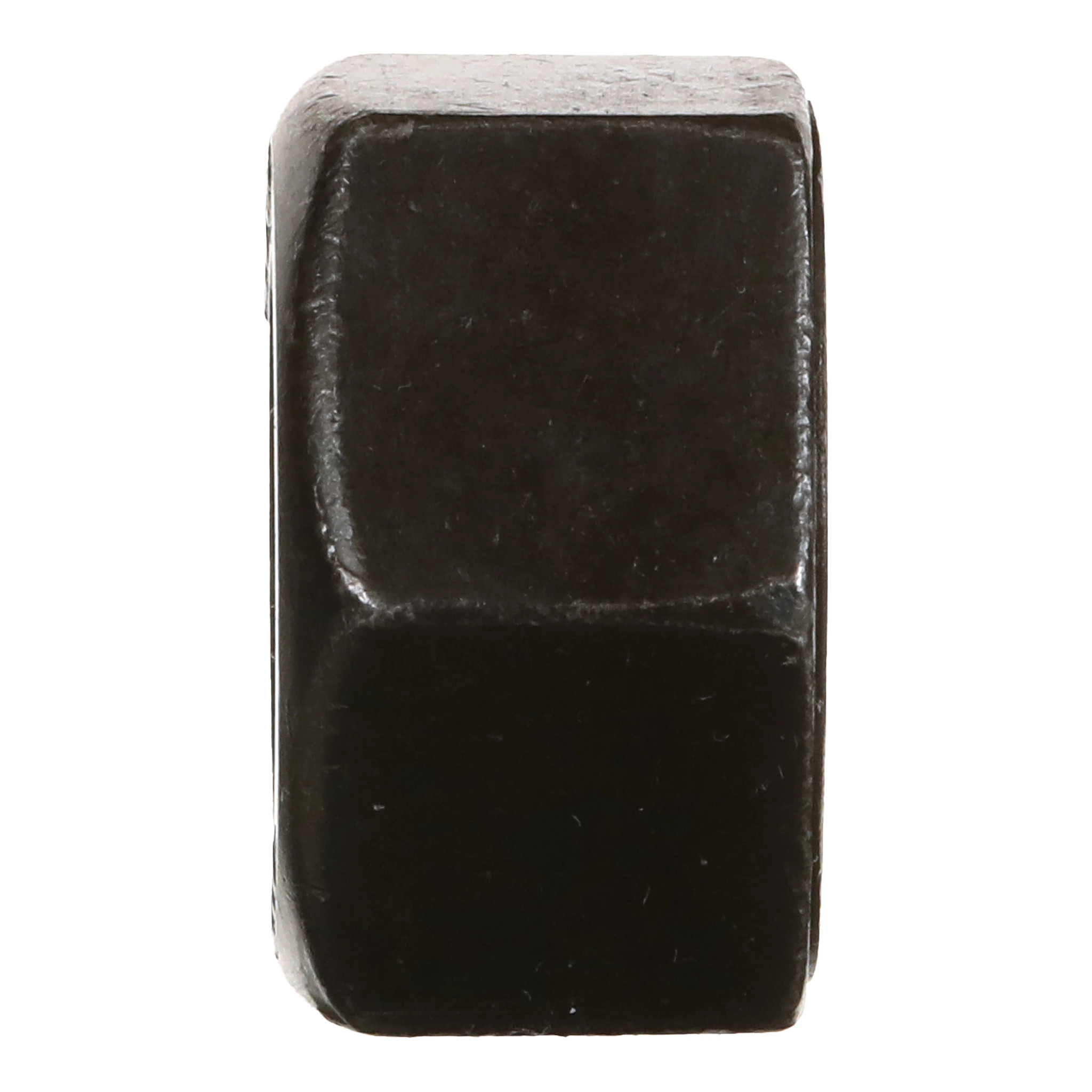 NUT | CASECE | US | EN