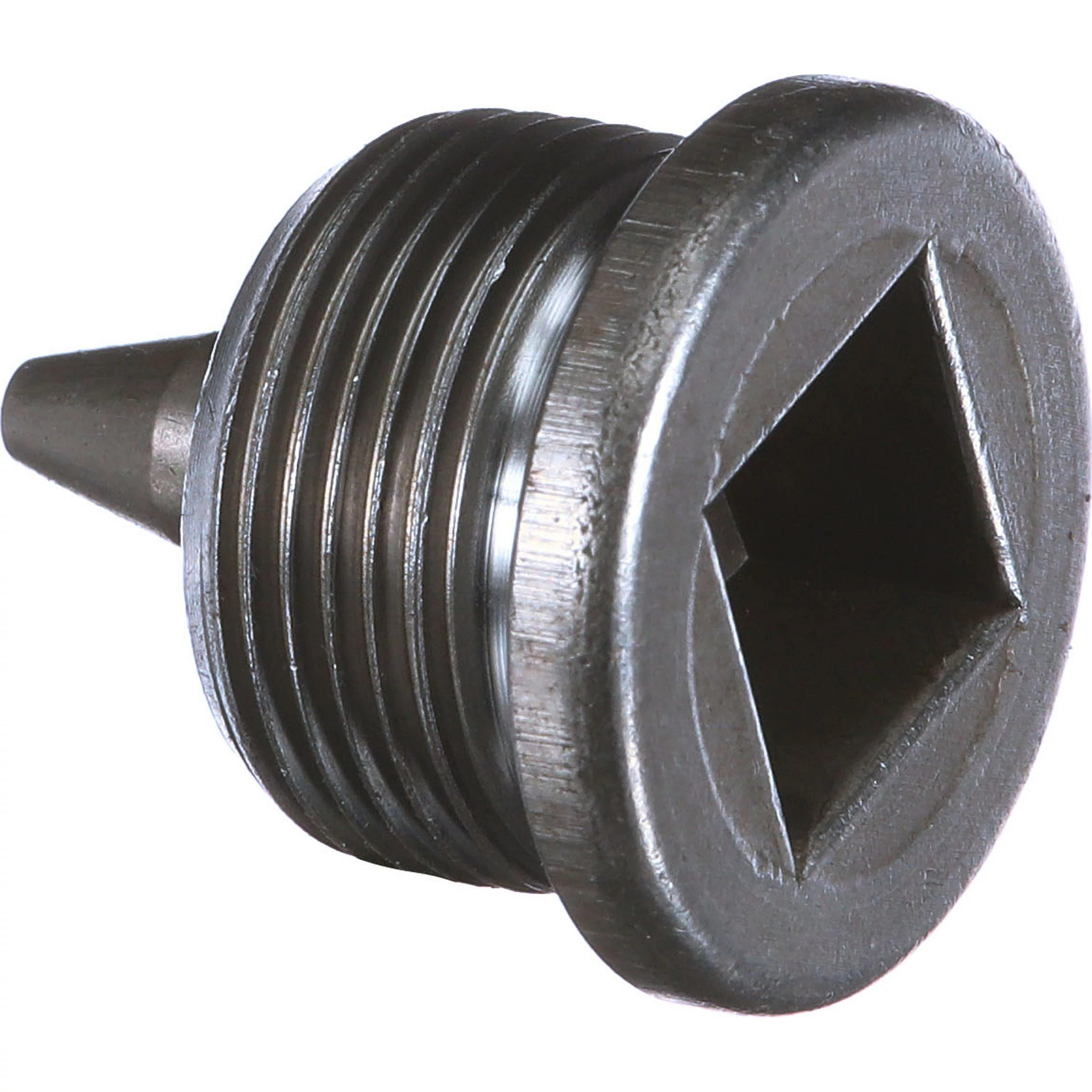 PLUG | CASECE | US | EN