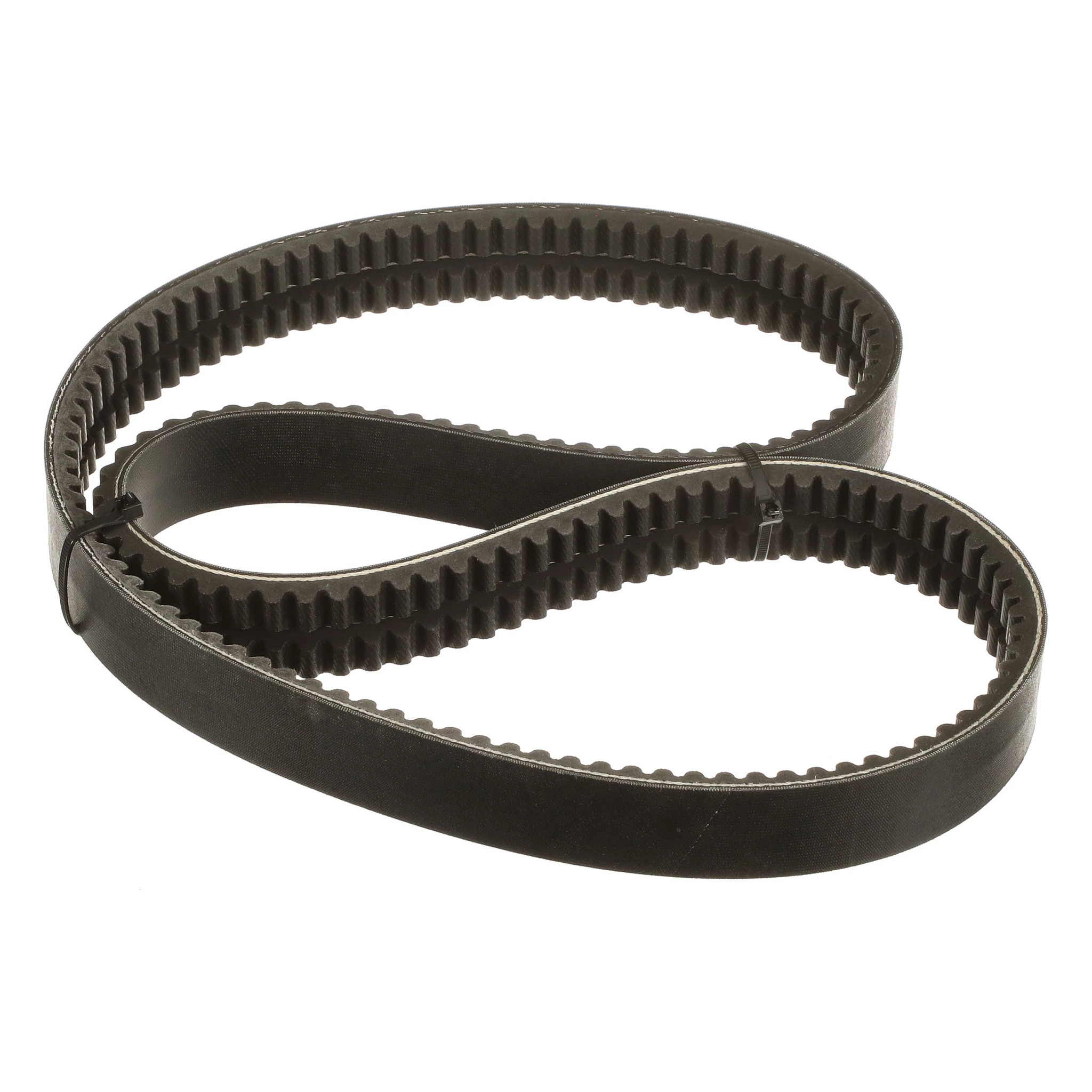 BELT | CASECE | US | EN