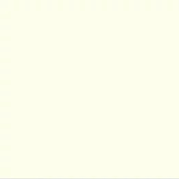 PINTURA | NEWHOLLANDAG | ES | ES