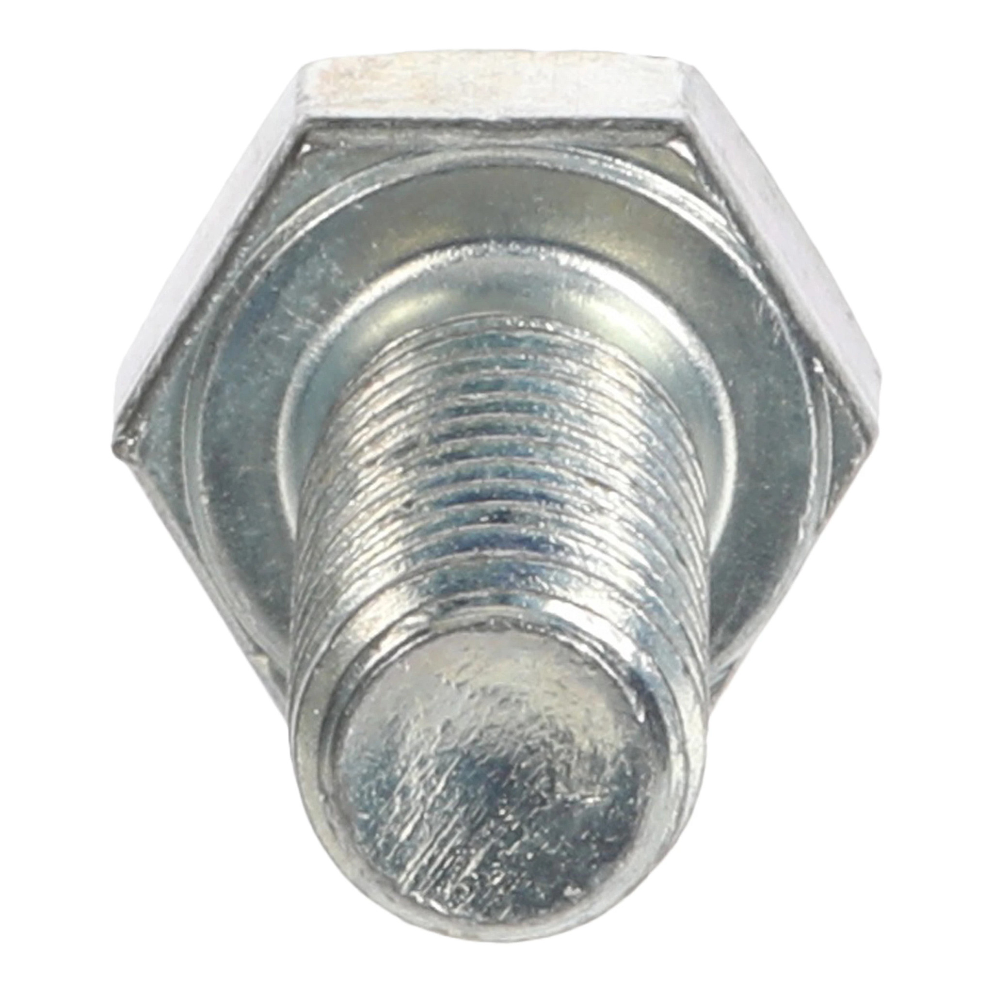 BOLT | CASECE | EU | EN