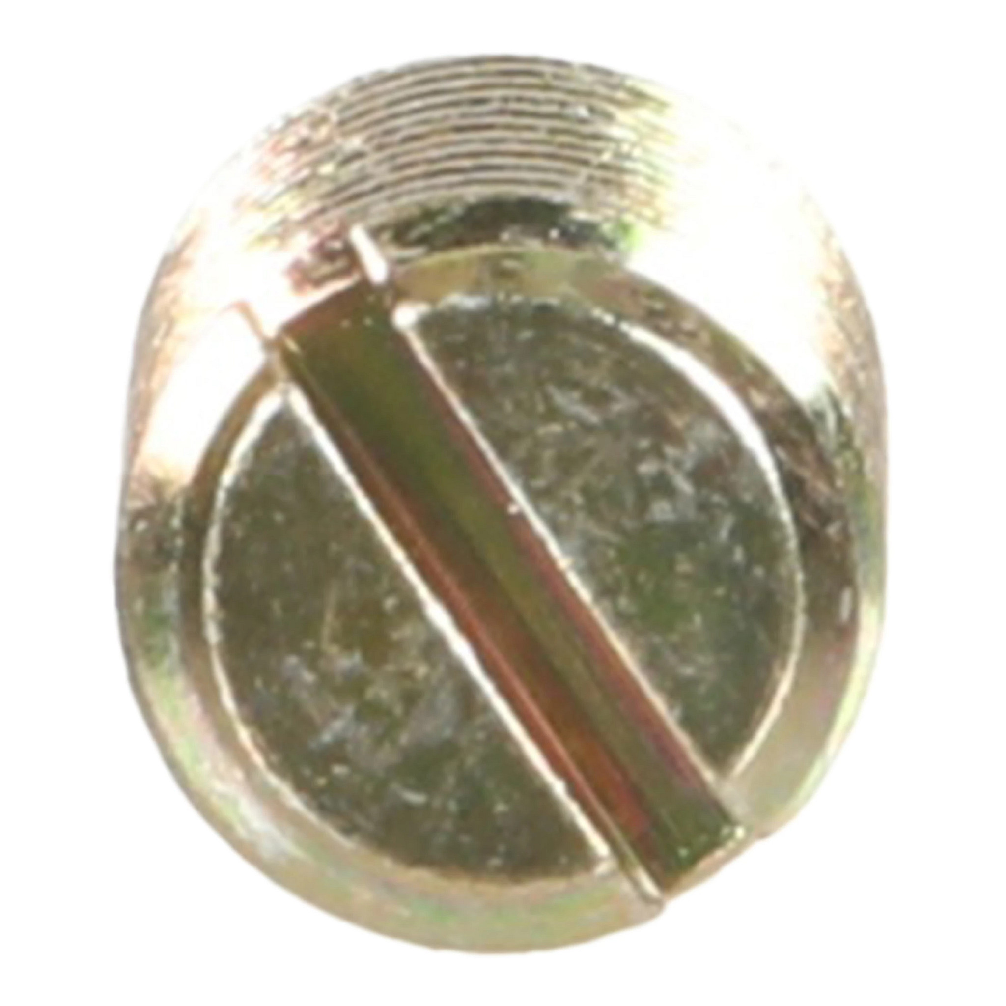 SCREW | CASECE | US | EN