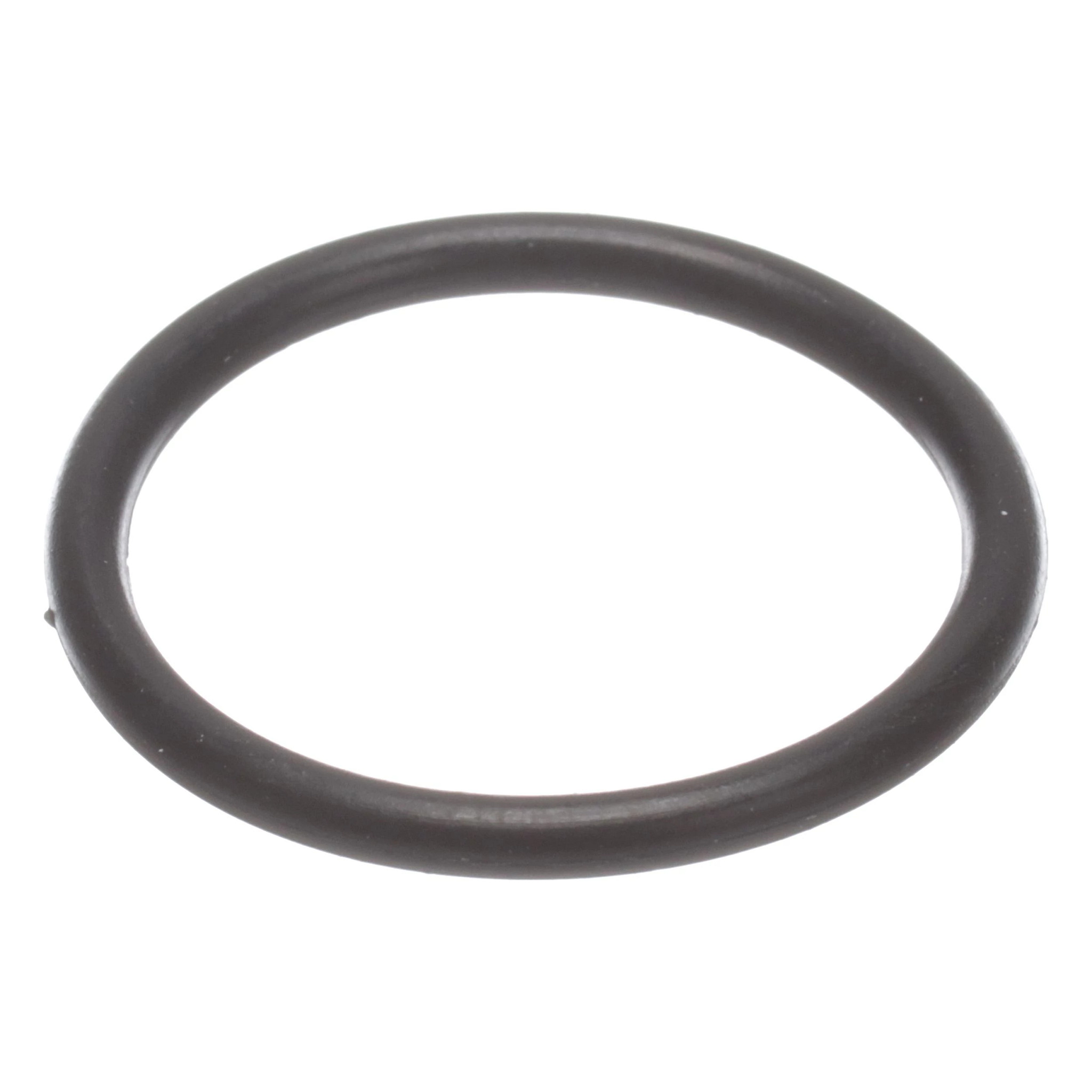 JUNTA TÓRICA | CASECE | EU | IT