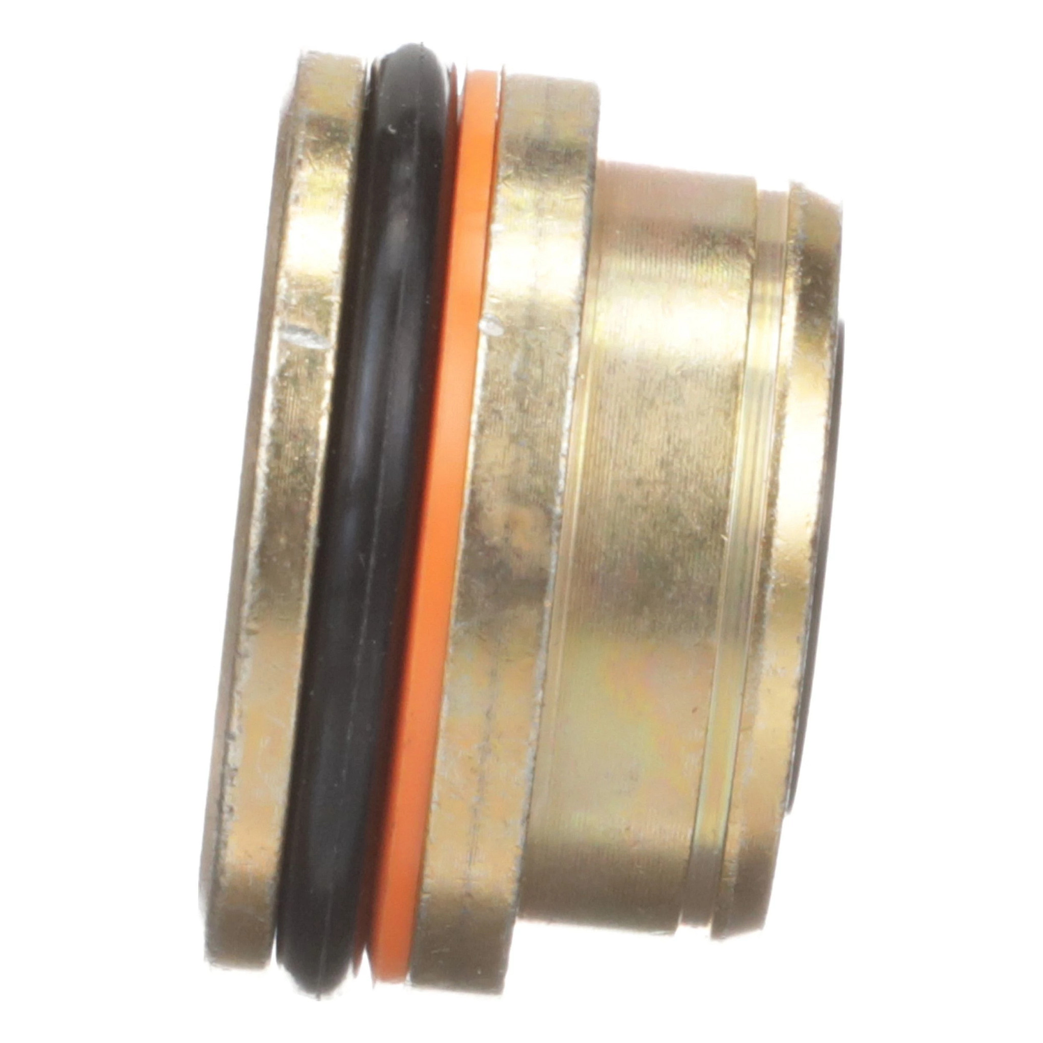 GLAND | CASECE | CA | EN