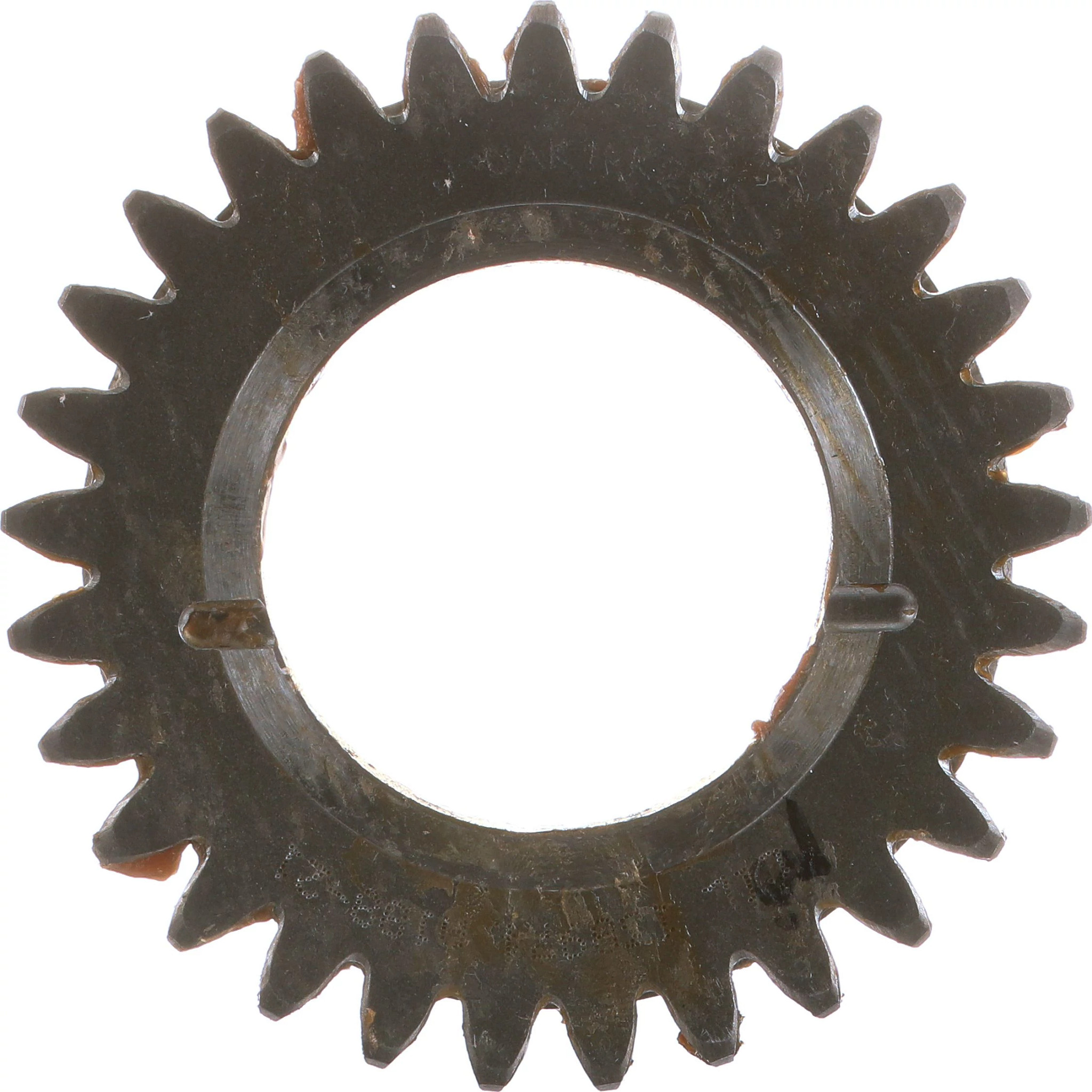 PINION | CASECE | CA | EN