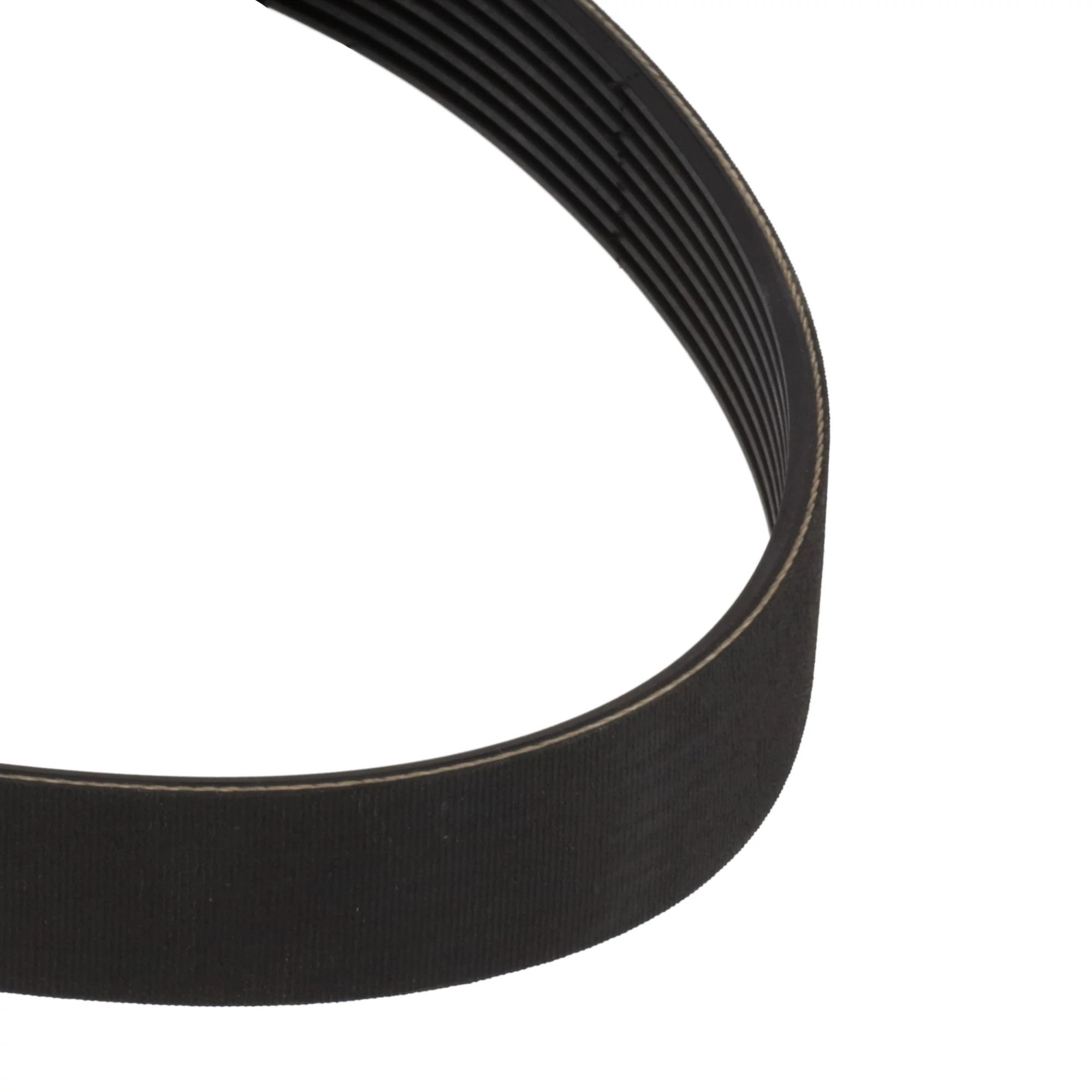 CINGHIA | STEYR | EU | EN