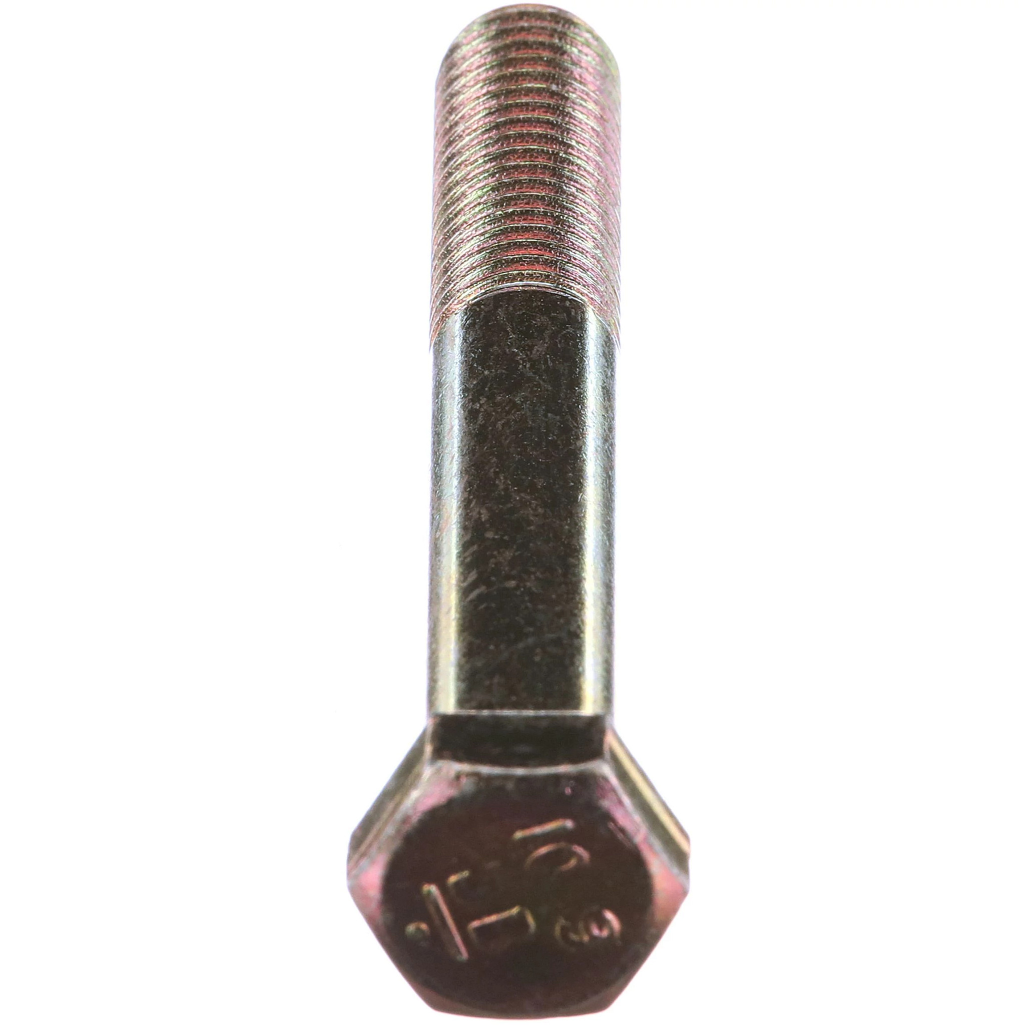 PARAFUSO | CASECE | EU | IT