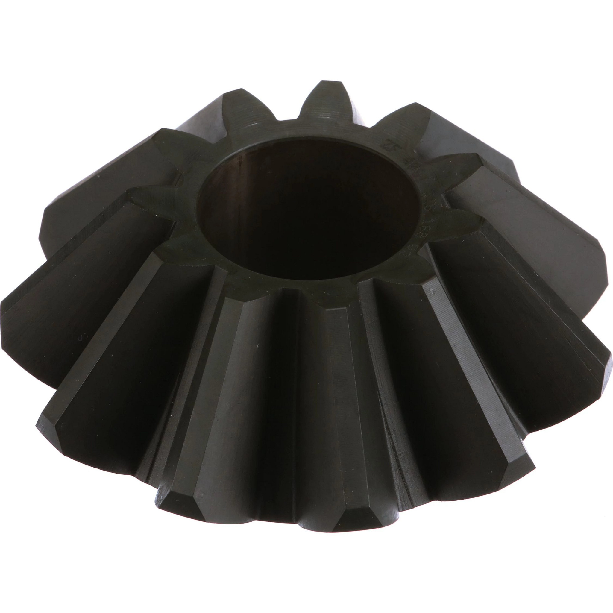 PIGNON CONIQUE | NEWHOLLANDCE | CA | FR