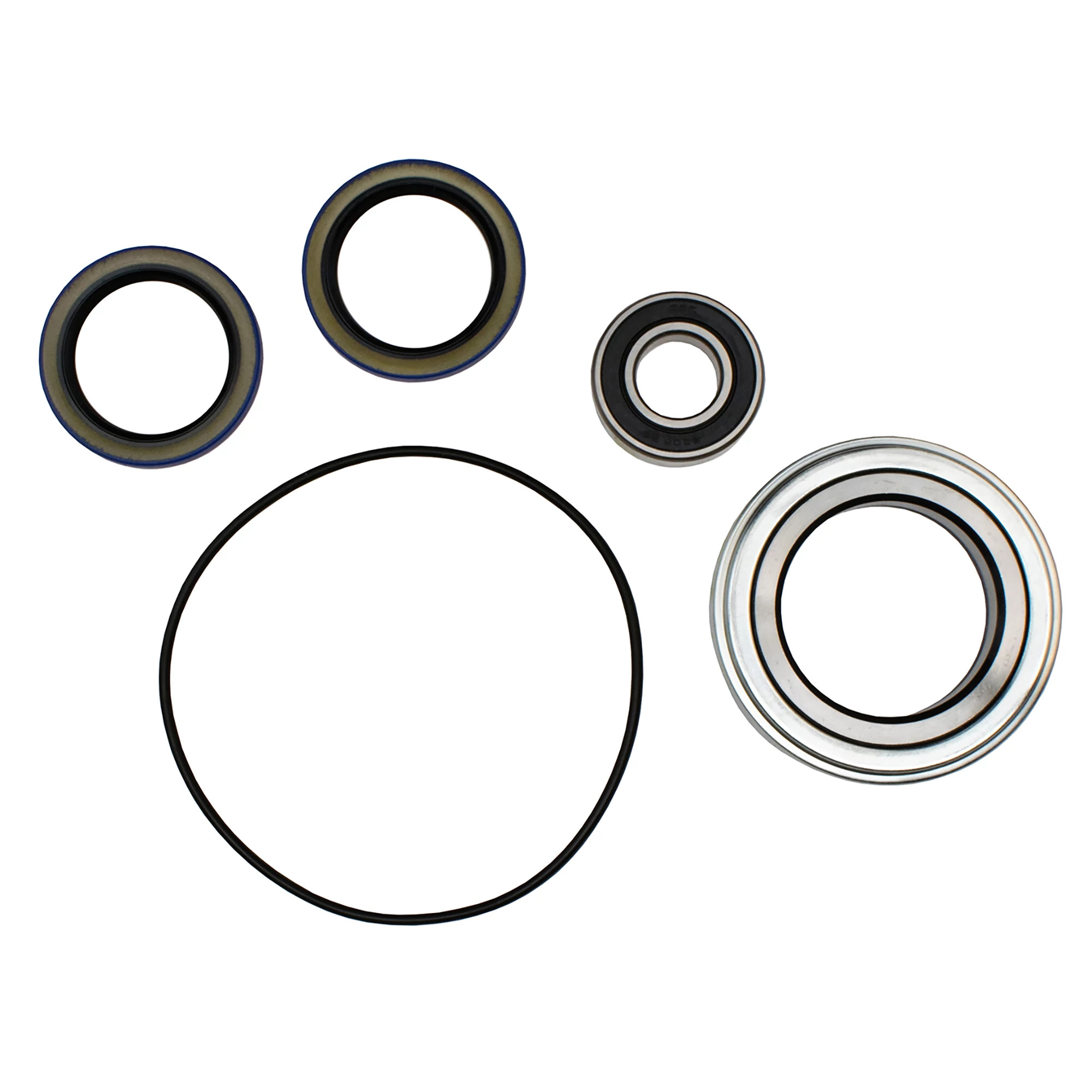 IPTO Bearing and Seal Kit | CASEIH | CA | EN