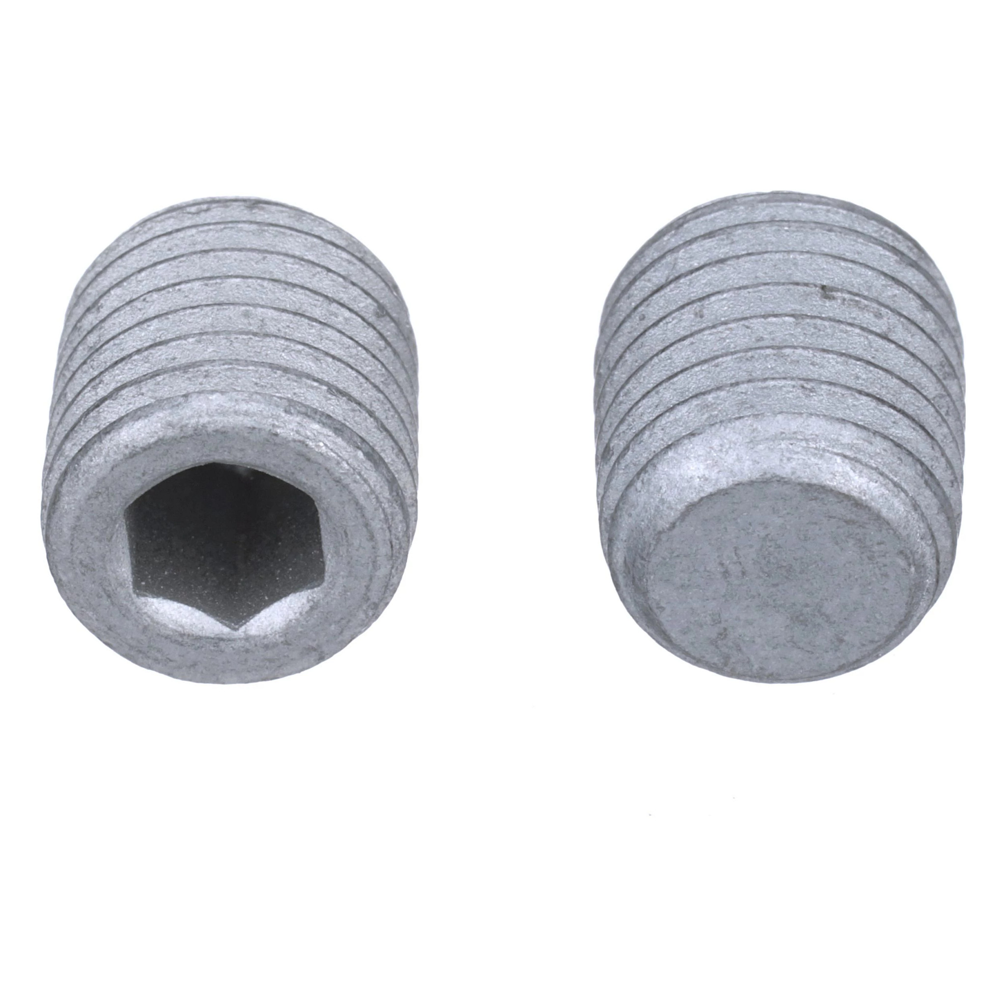 PLUG | CASECE | AMEA | EN