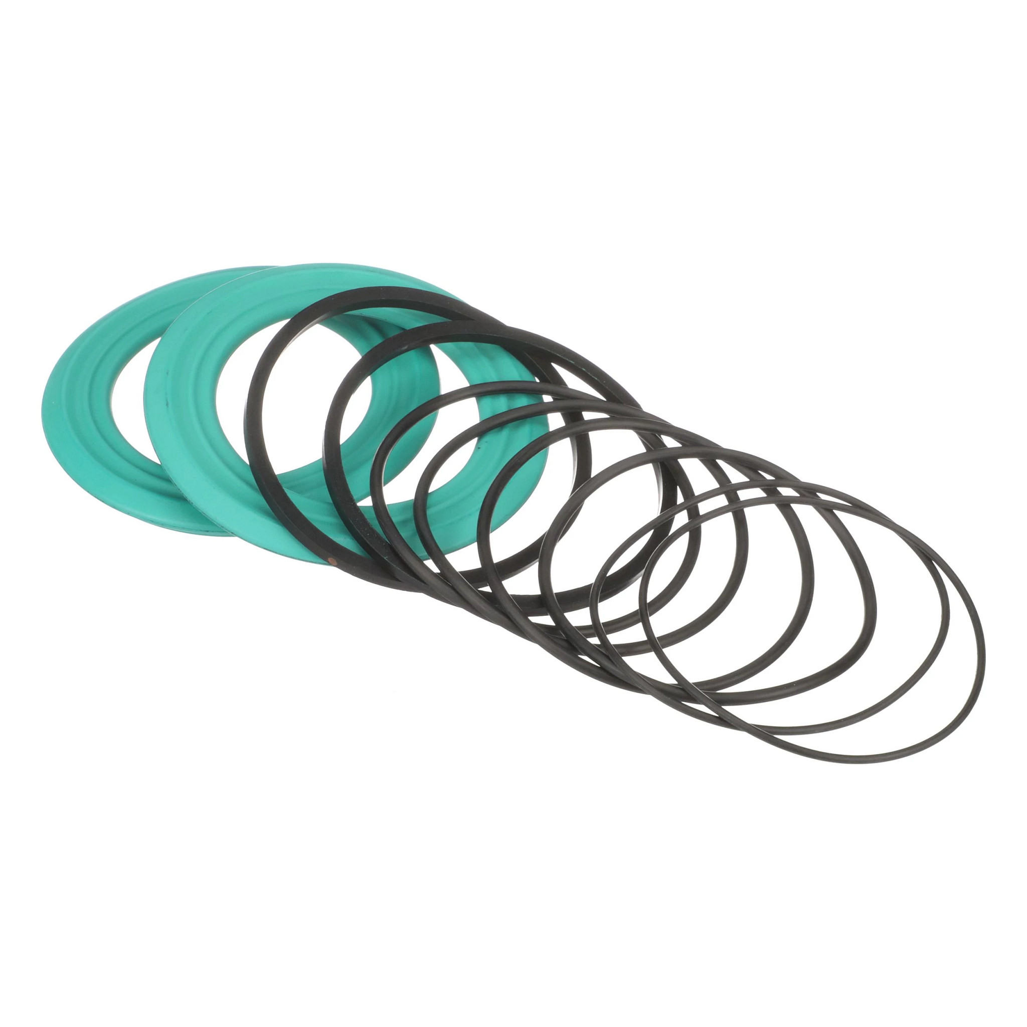 86000350 | Piston Seal Kit | New Holland Agriculture | MyCNH US Store