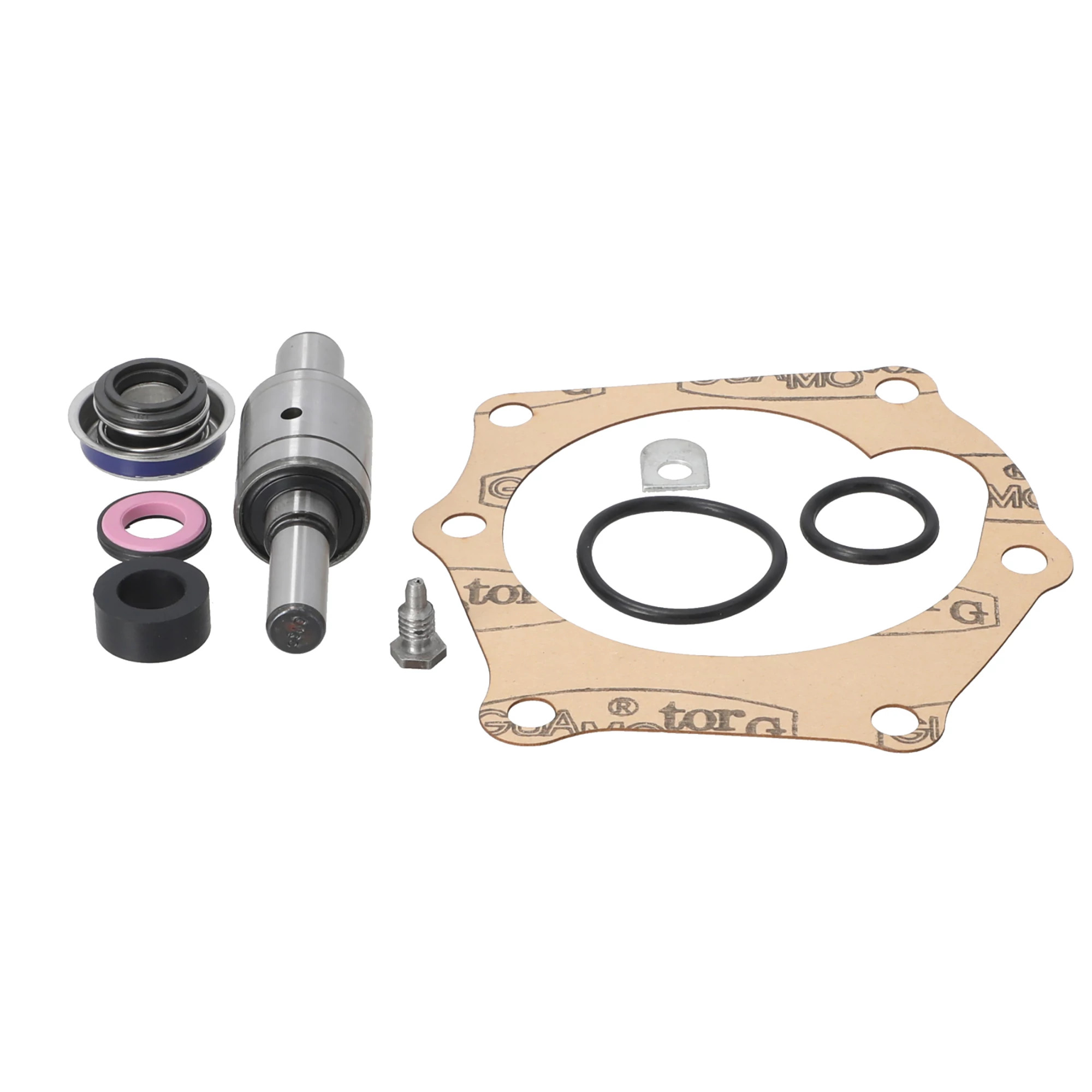 Water Pump Repair Kit | CASECE | CA | EN
