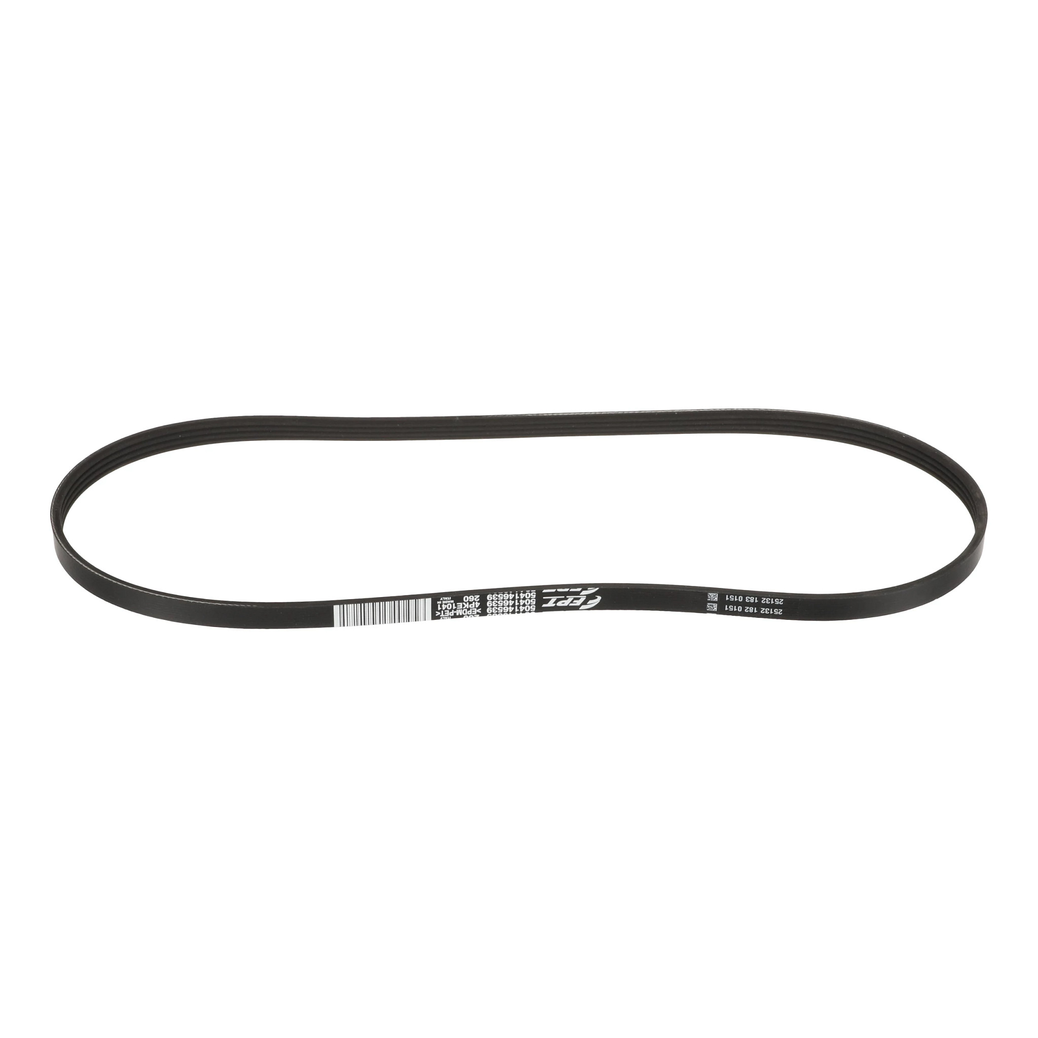 BELT | CASECE | US | EN