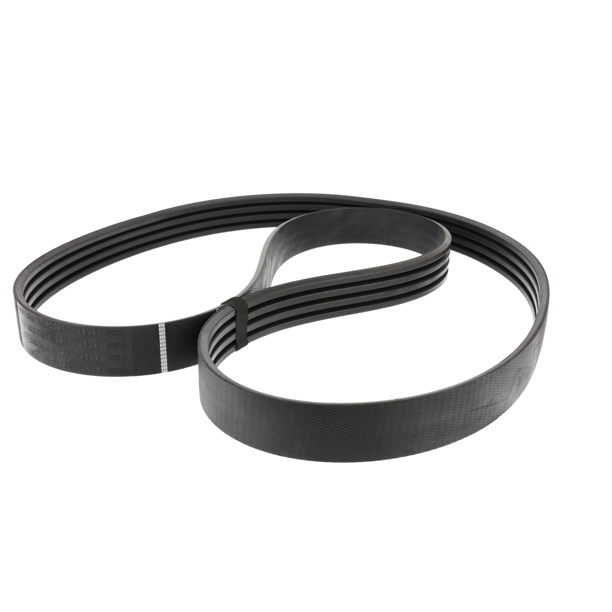 BELT | CASECE | AMEA | EN