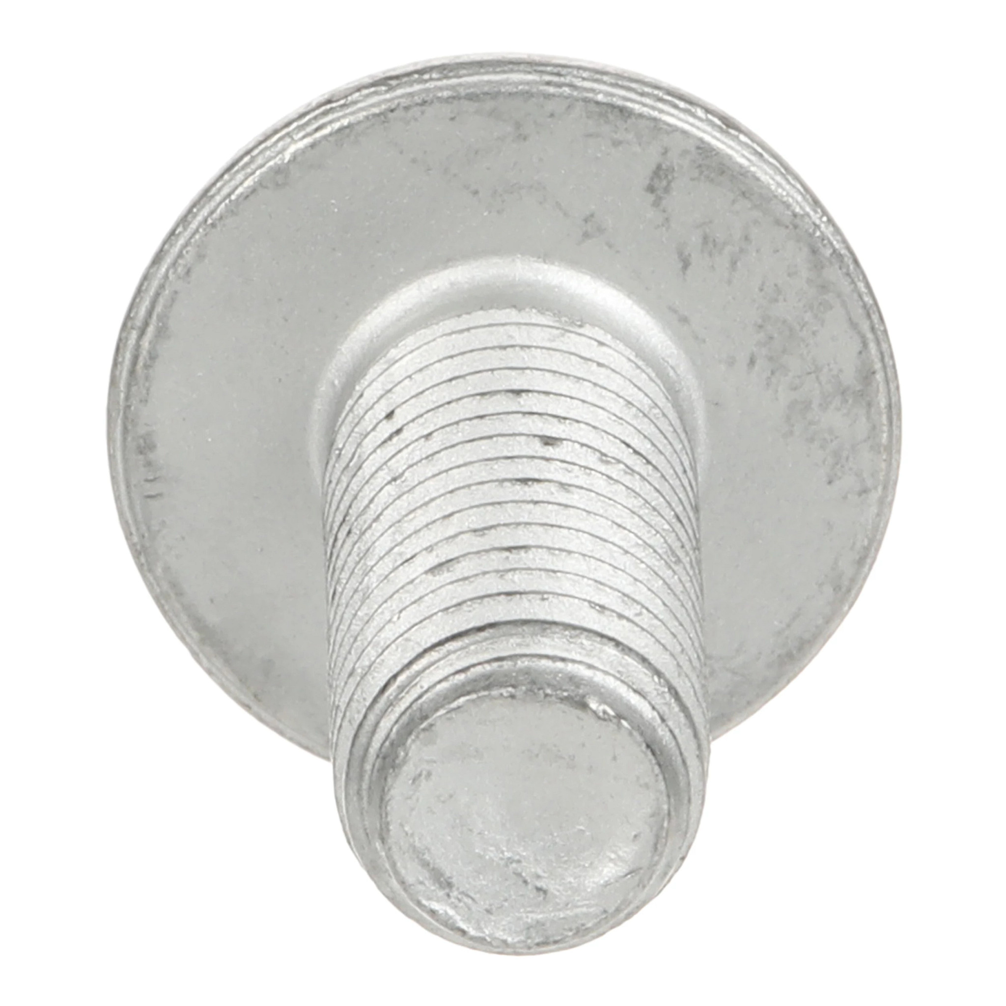 SCREW | NEWHOLLANDAG | NZ | EN