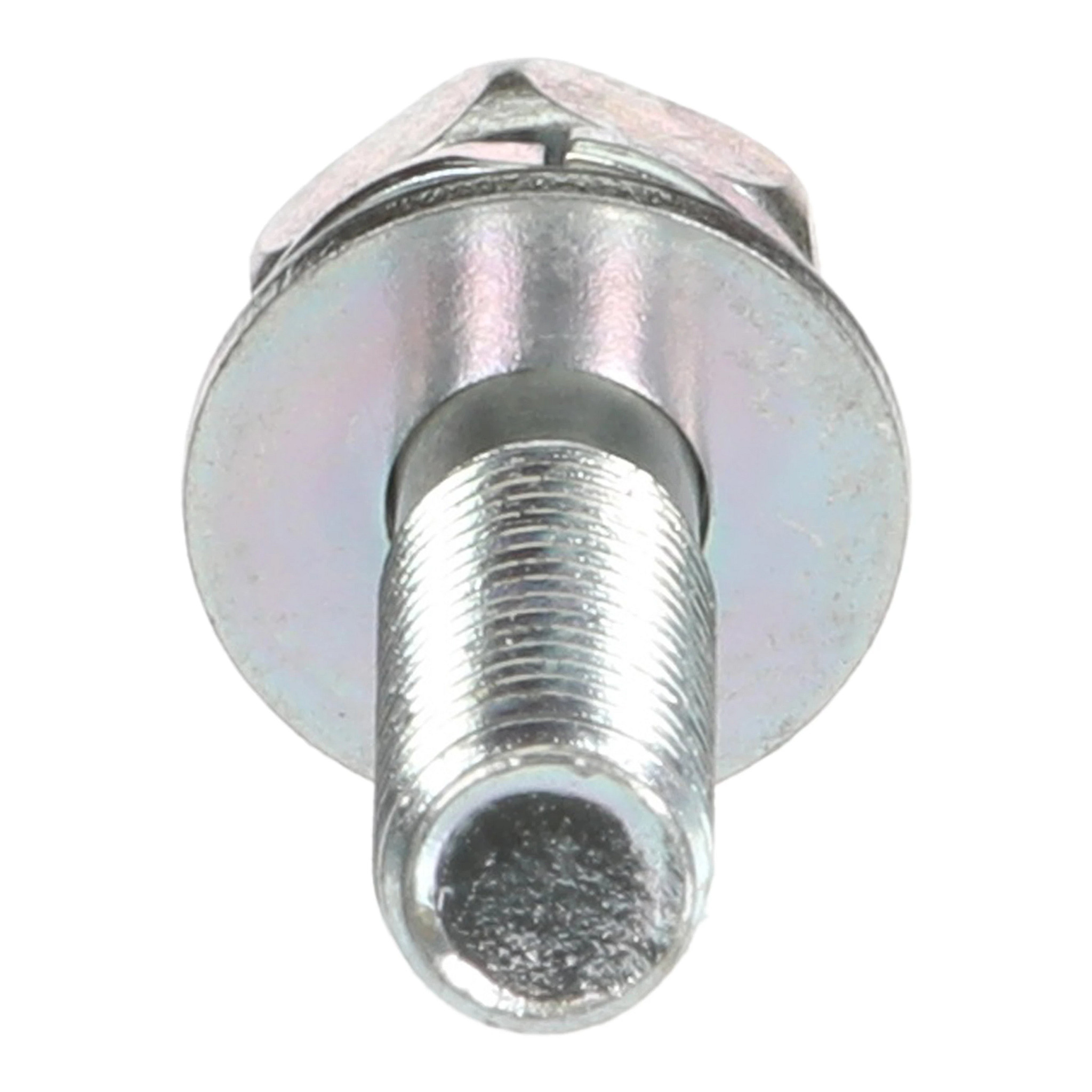 BOLT | CASECE | CA | EN