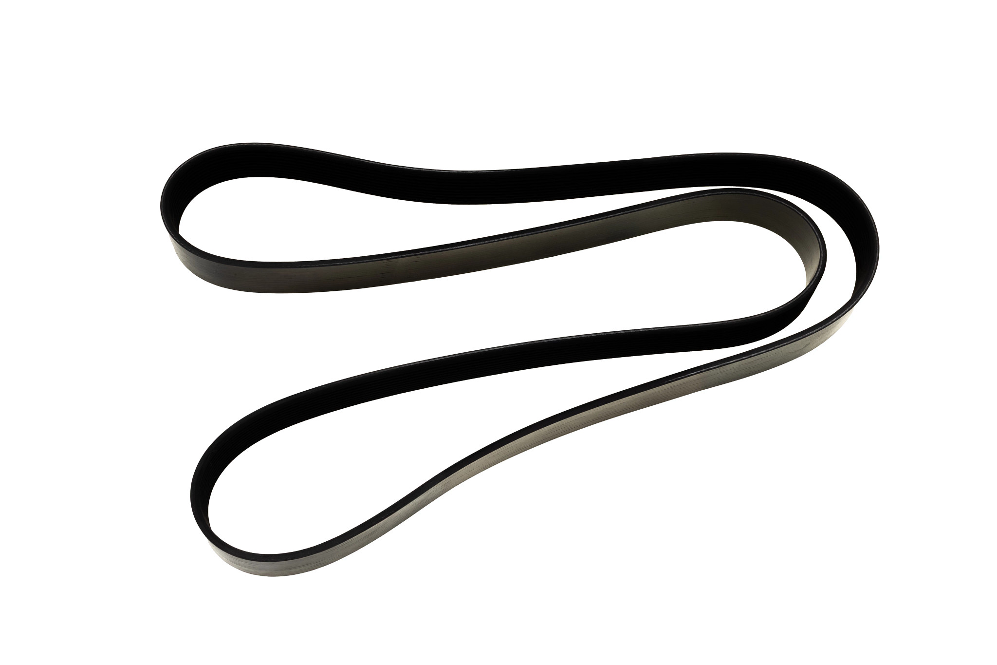 Belt | CASECE | CA | FR