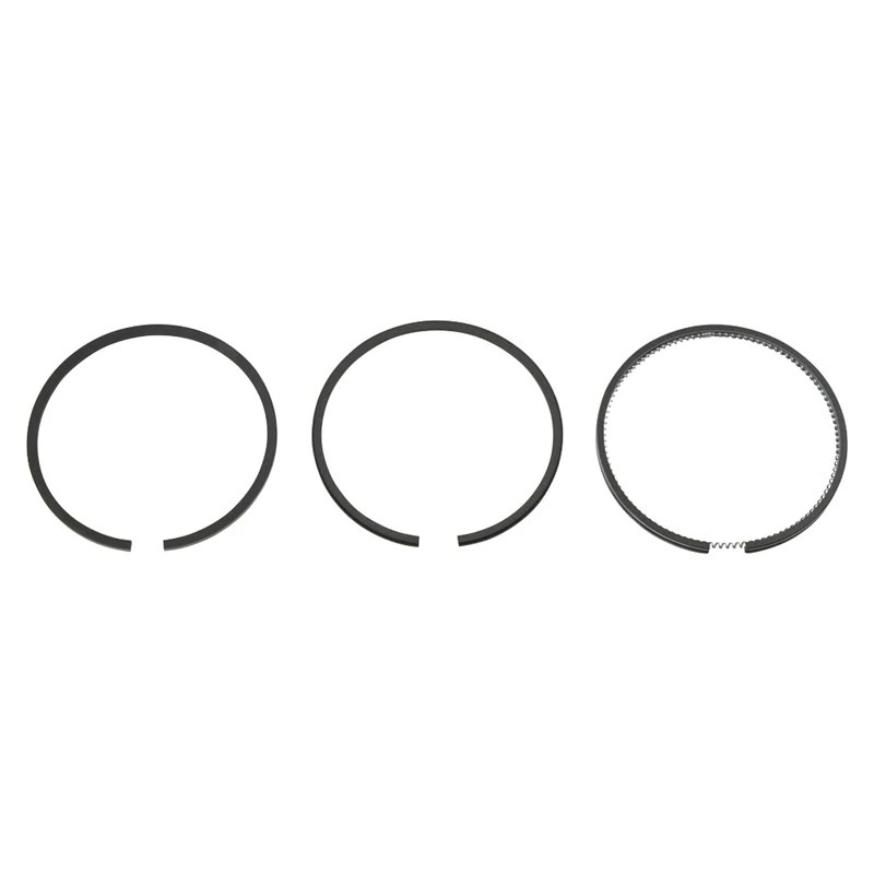 Set Of Rings | CASECE | US | EN