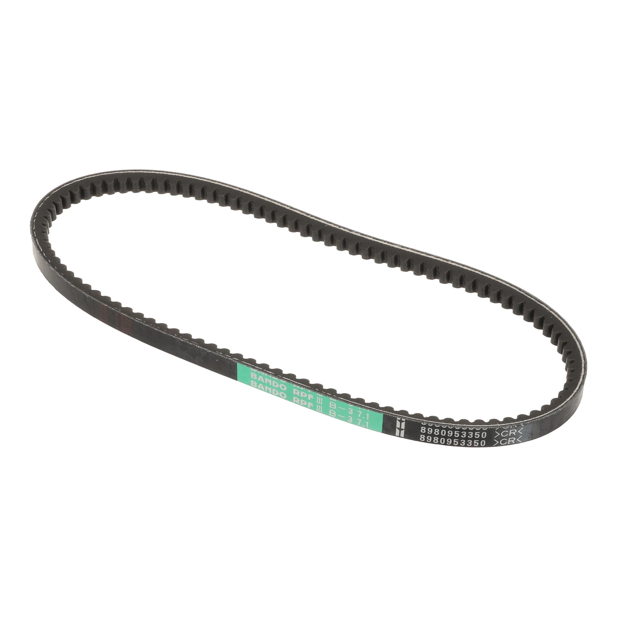 Set Of Belts | CASECE | US | EN