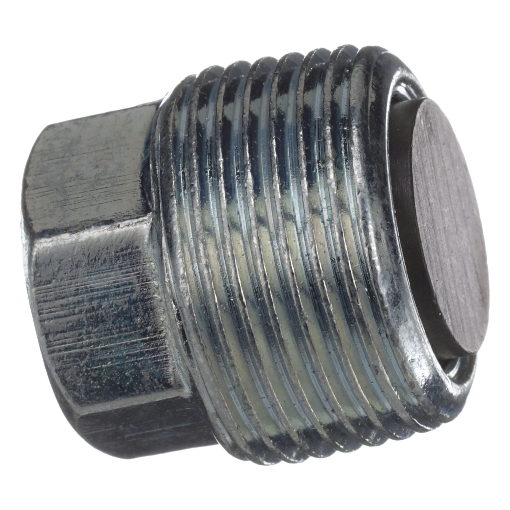 PLUG | CASECE | EU | EN