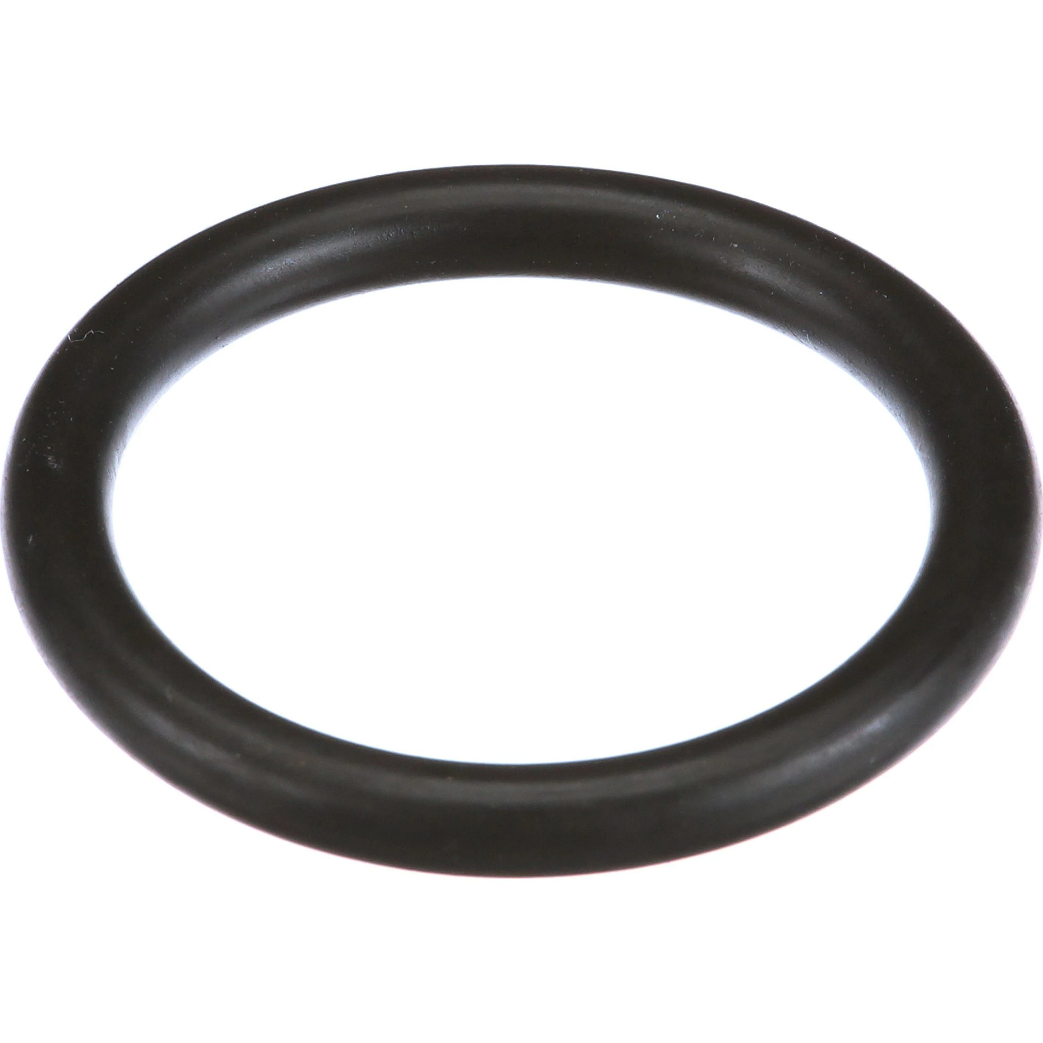 JUNTA TÓRICA | CASECE | EU | ES