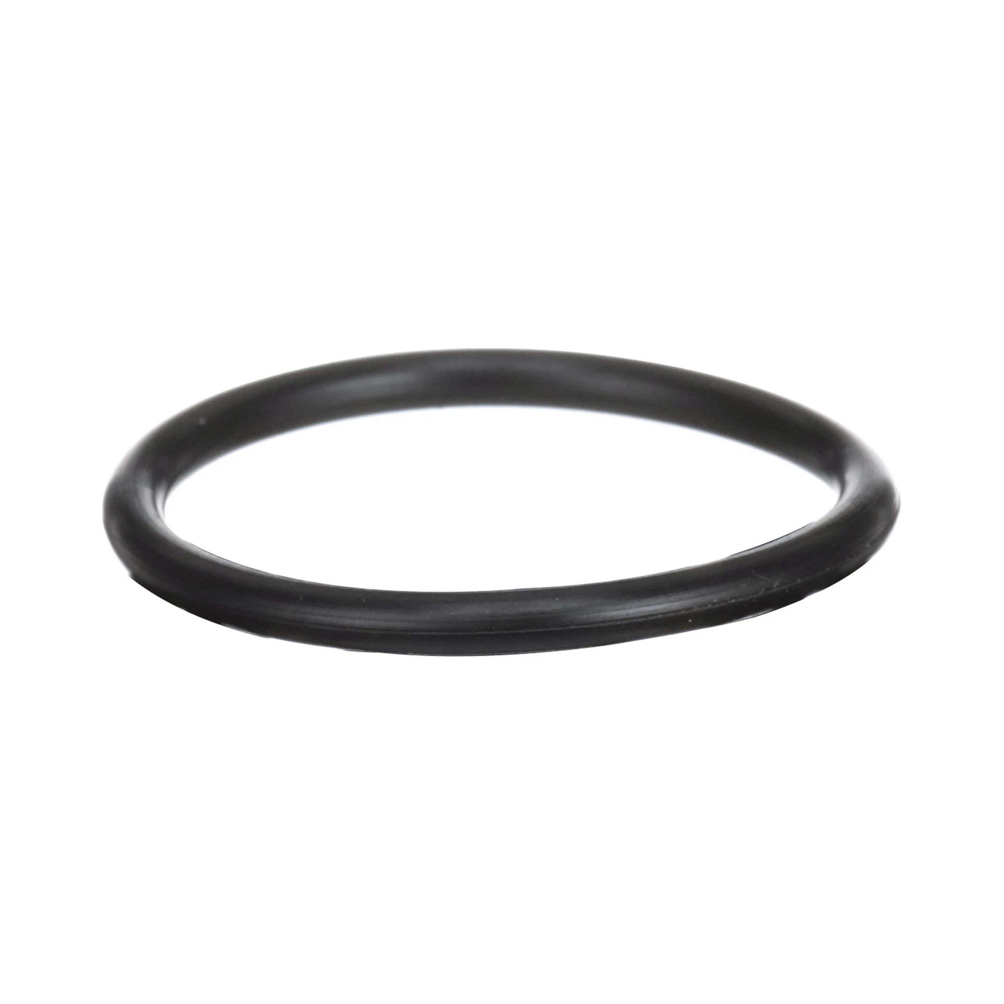 O-RING | CASECE | EU | EN