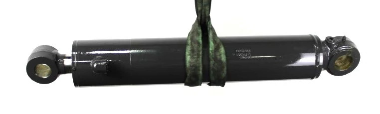 REMAN-HYD CYLINDER | CASECE | ANZ | EN