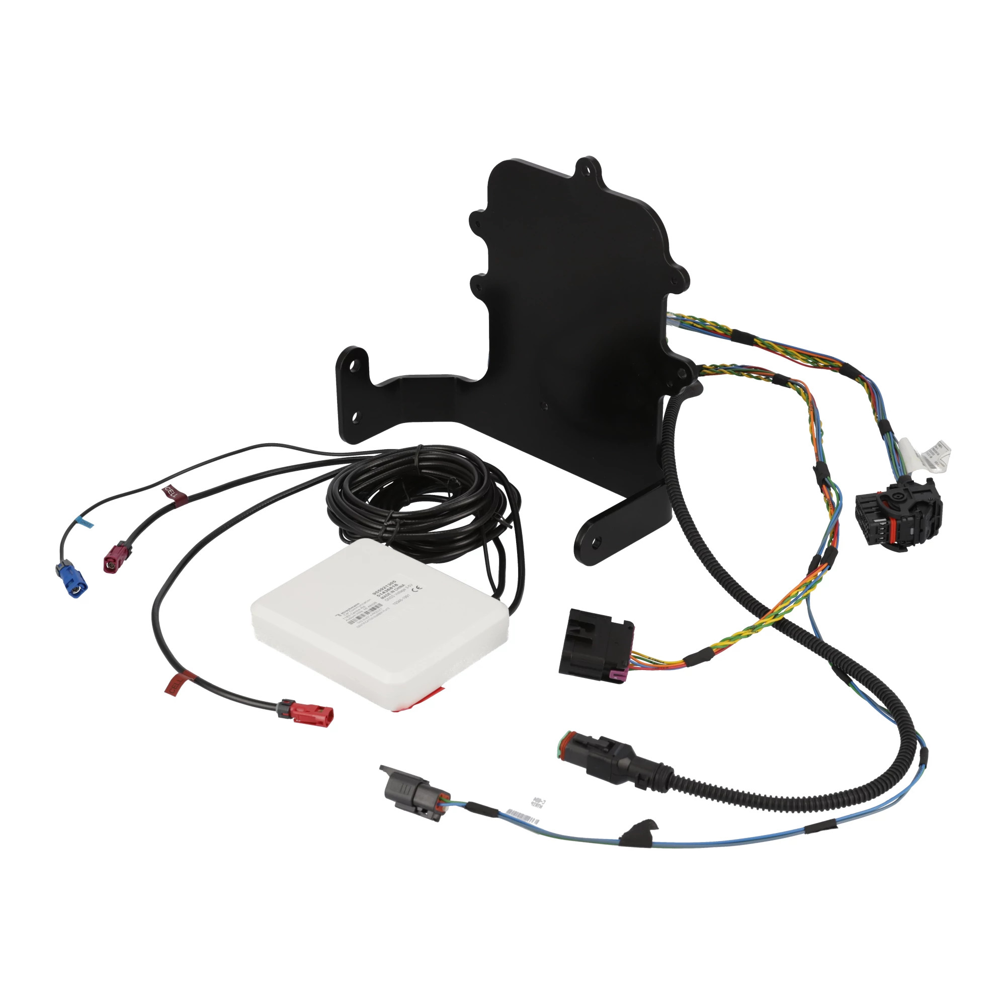 KIT | MILLER | CA | EN