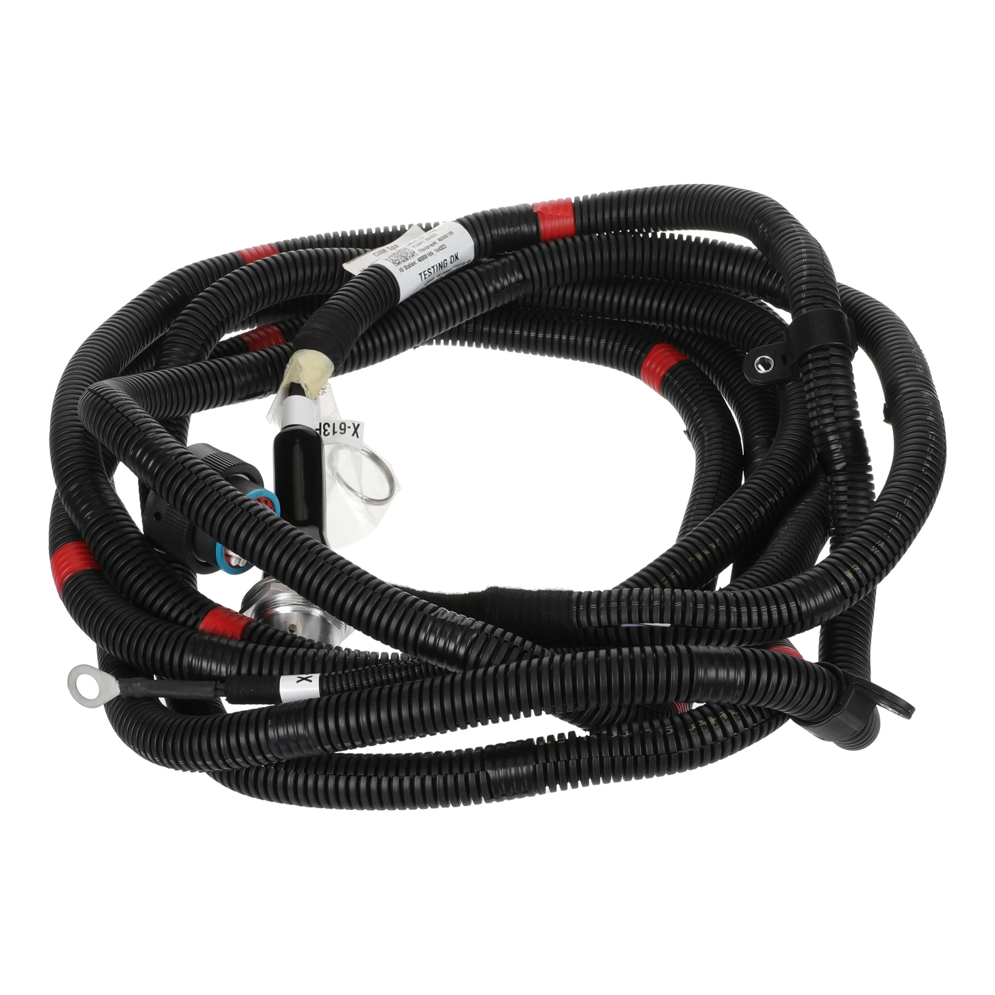 WIRE HARNESS | CASECE | AMEA | EN