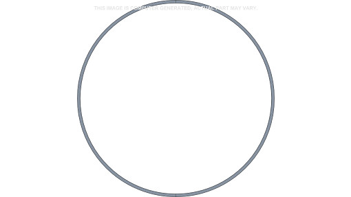 O-RING | CASECE | EU | RU