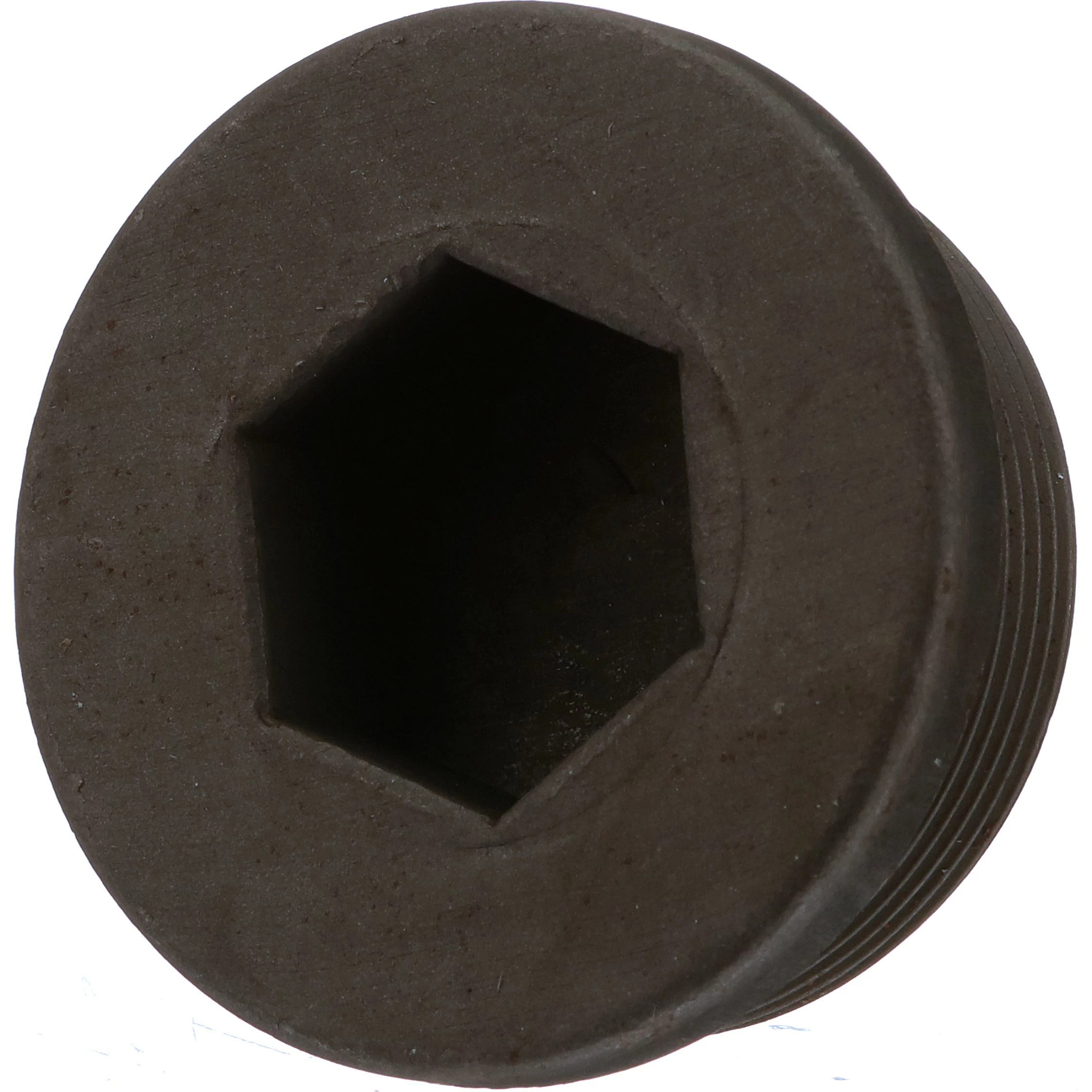 PLUG | CASECE | CA | EN