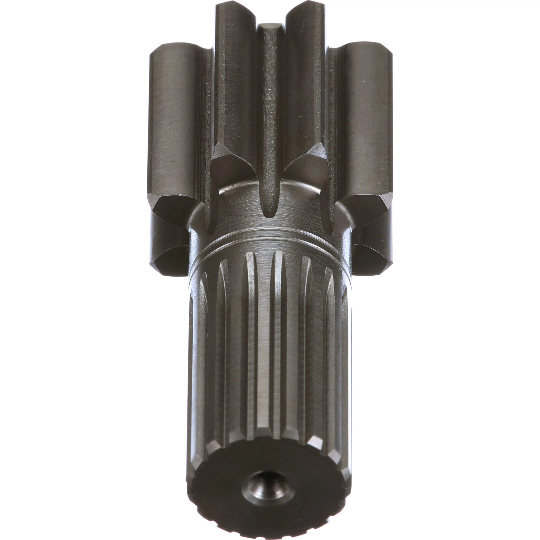 PIGNON SOLAIRE | CASECE | CA | FR