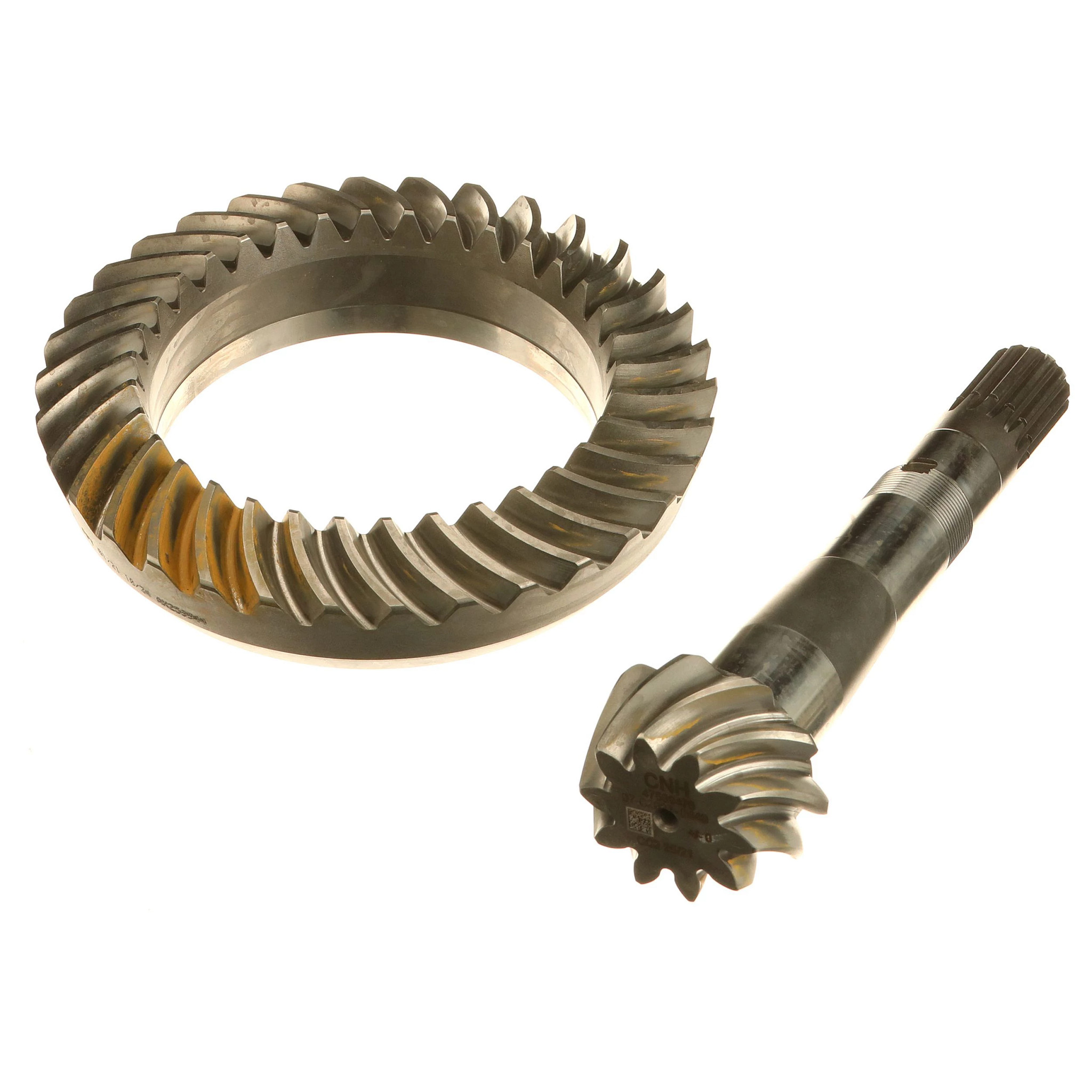 PIGNON CONIQUE | NEWHOLLANDAG | CA | FR