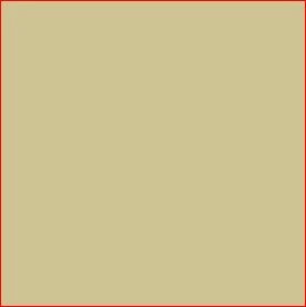 David Brown Orchid White Enamel Paint - Aerosol Can | CASEIH | AU | EN