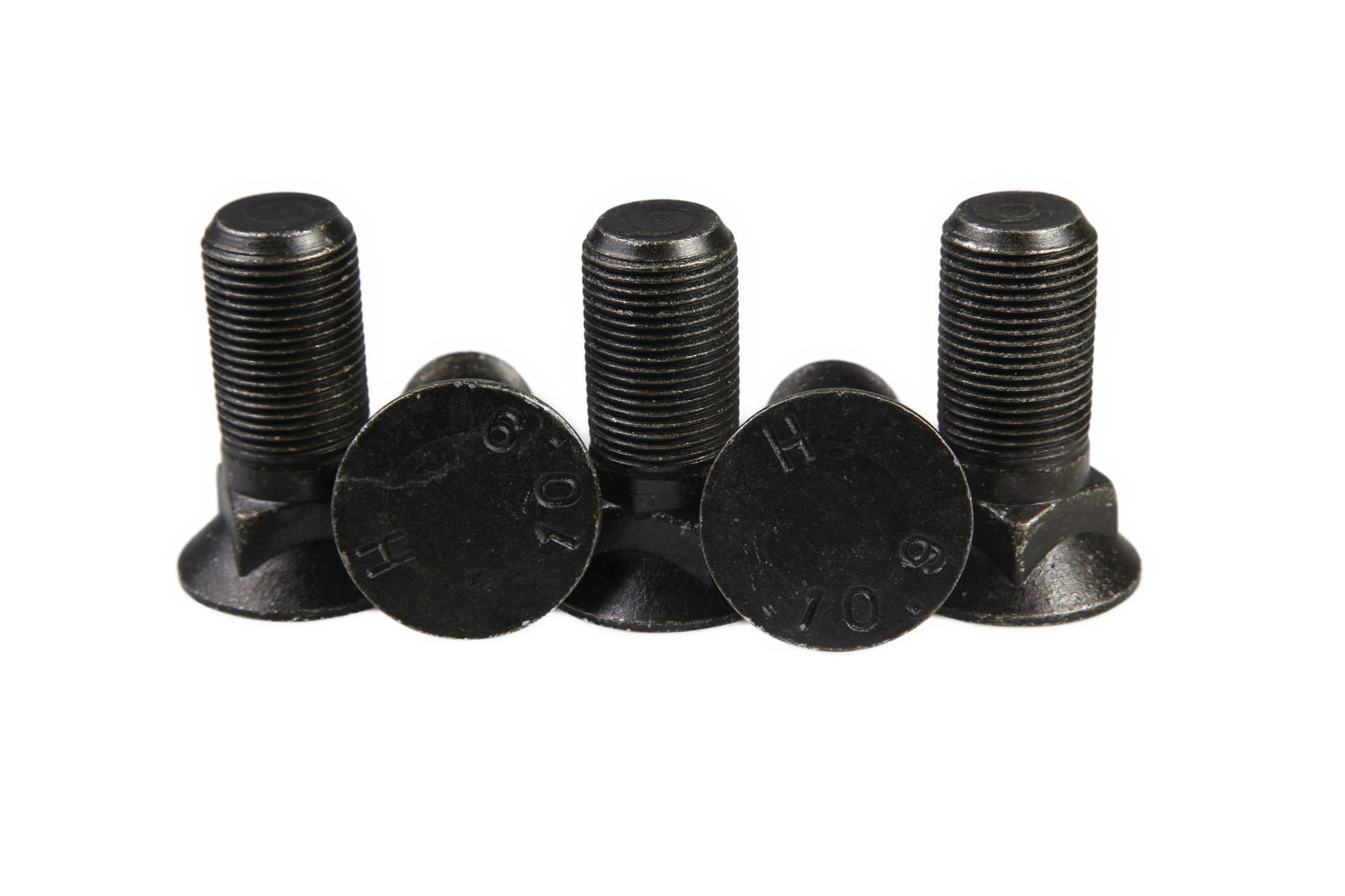 SCREW | CASECE | SA | EN