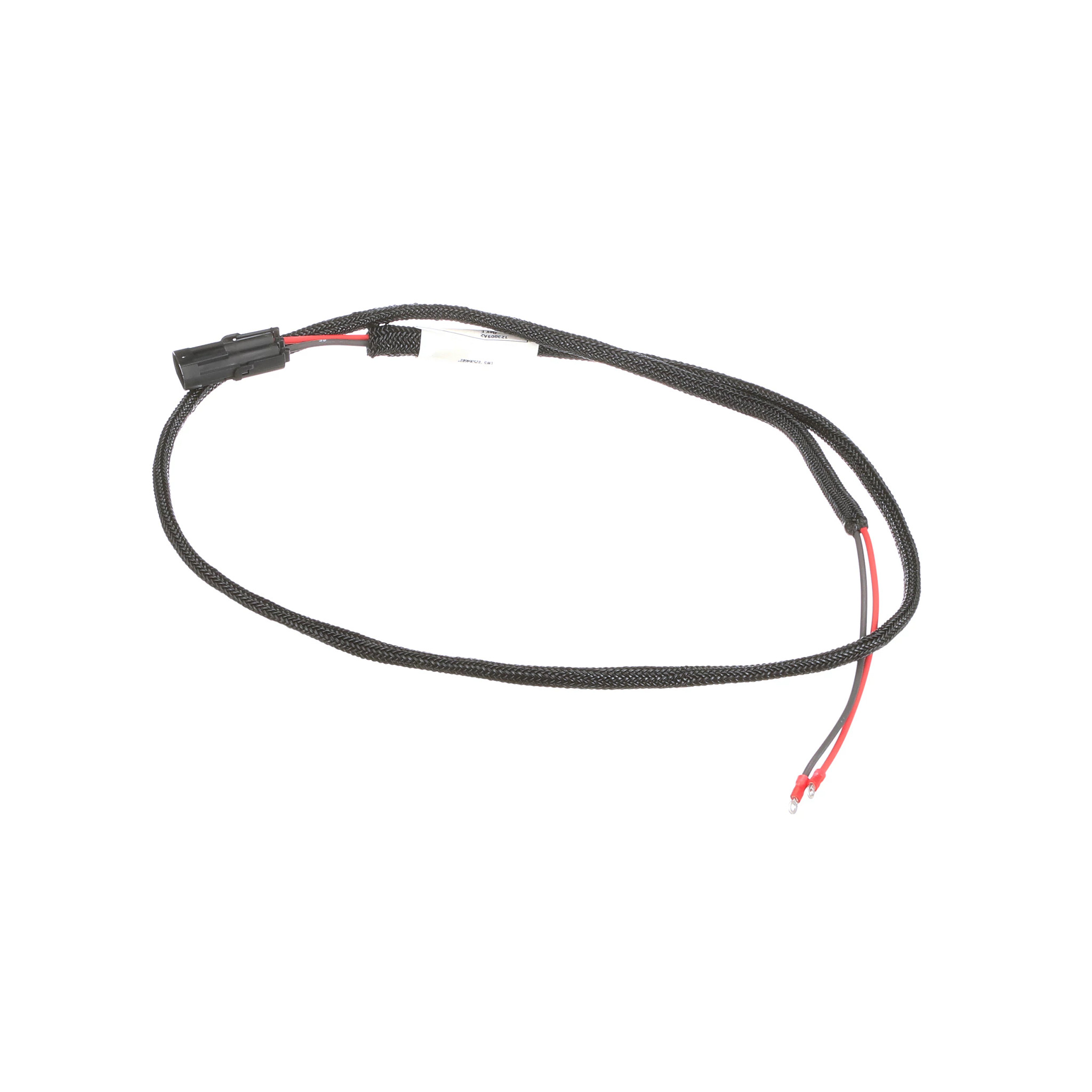 CHICOTE | CASECE | BR | PT