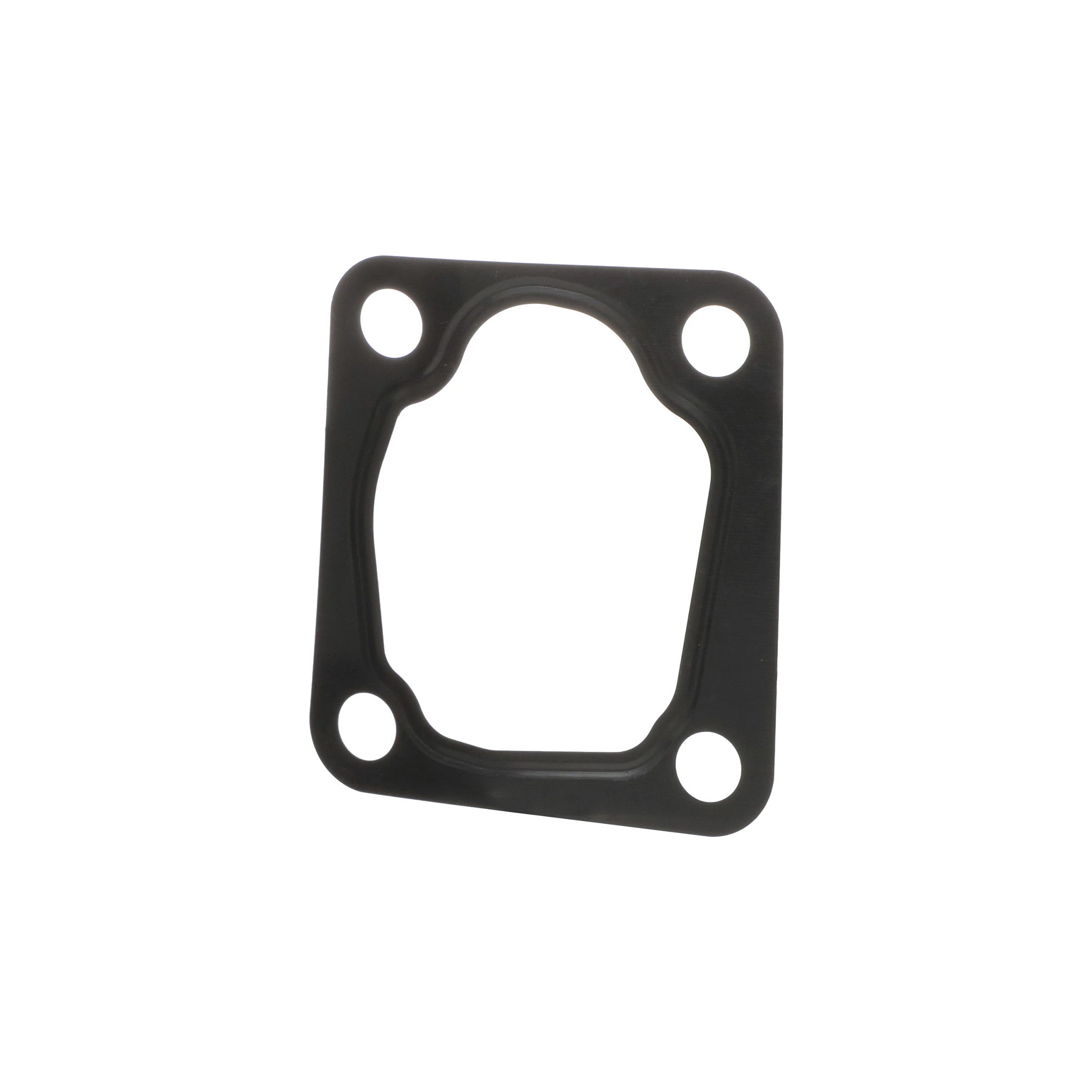 Gasket | CASECE | BR | PT