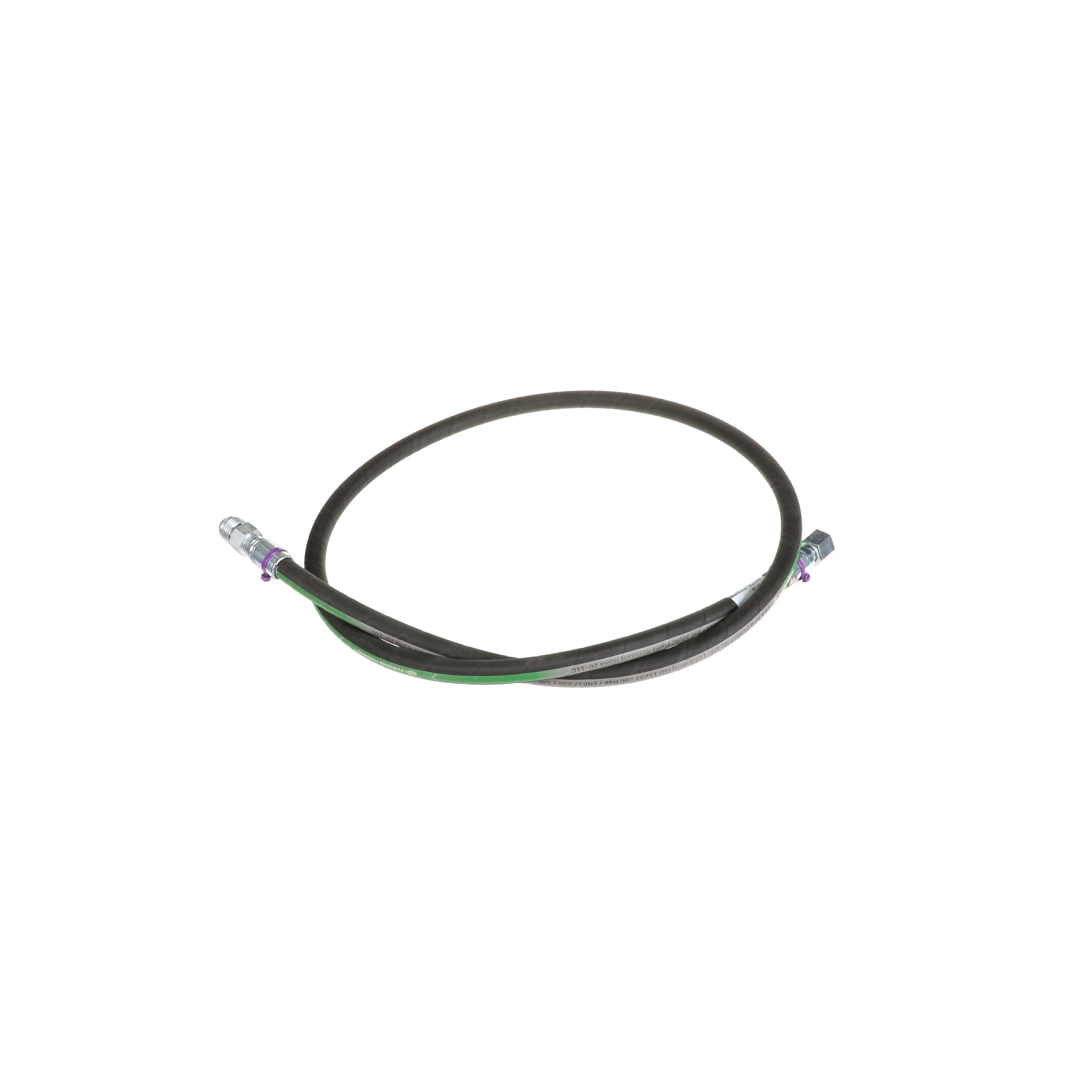 Mangueira | CASECE | BR | PT