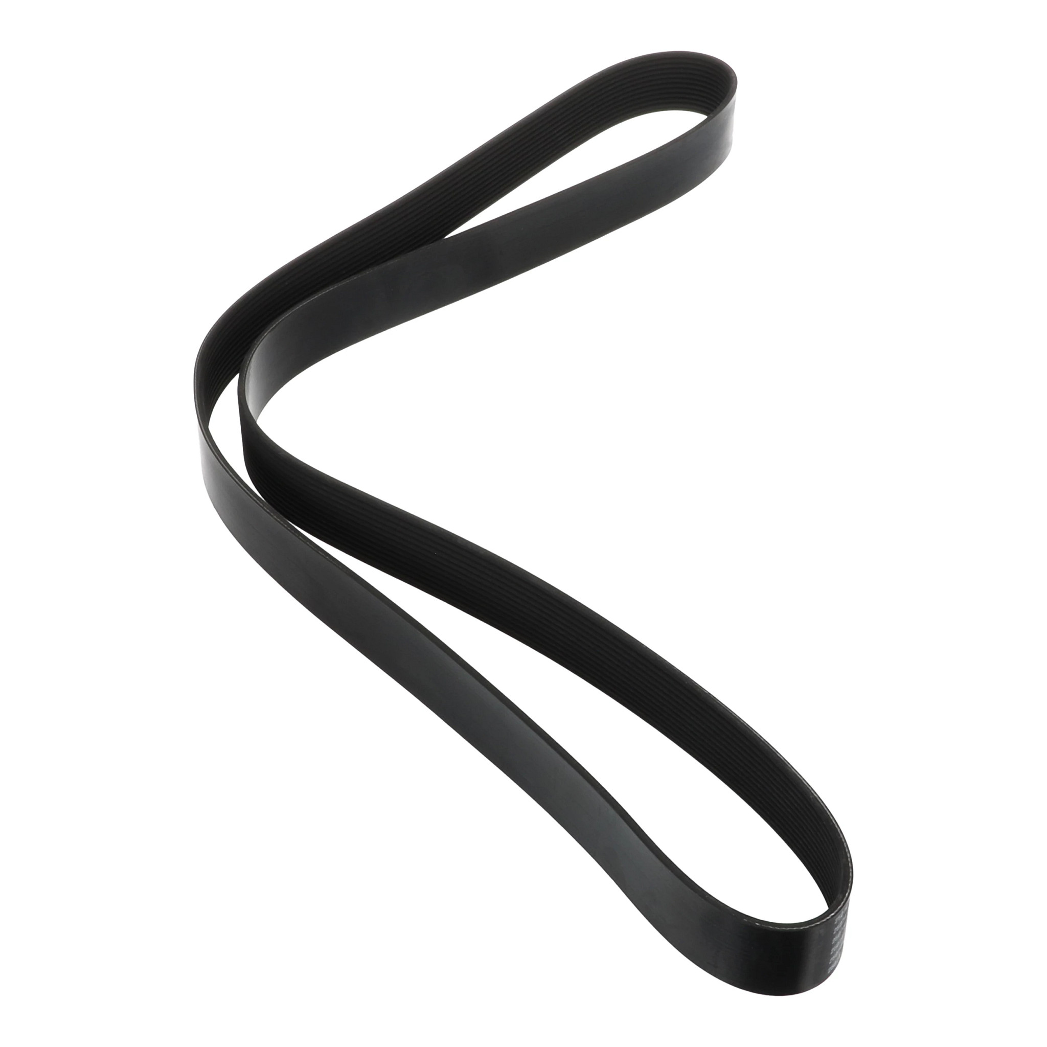 BELT | CASECE | US | EN