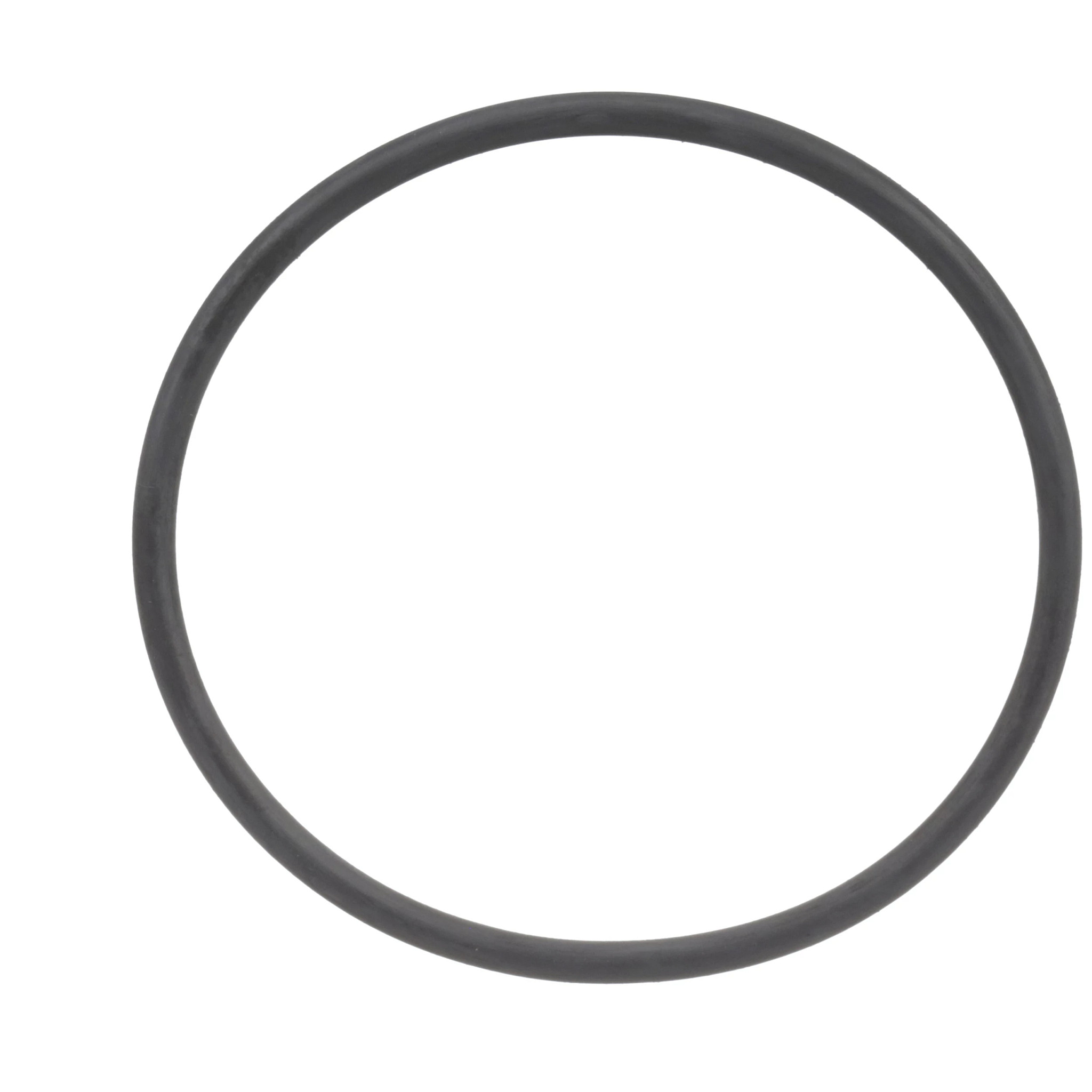 JUNTA TÓRICA | CASEIH | SA | EN