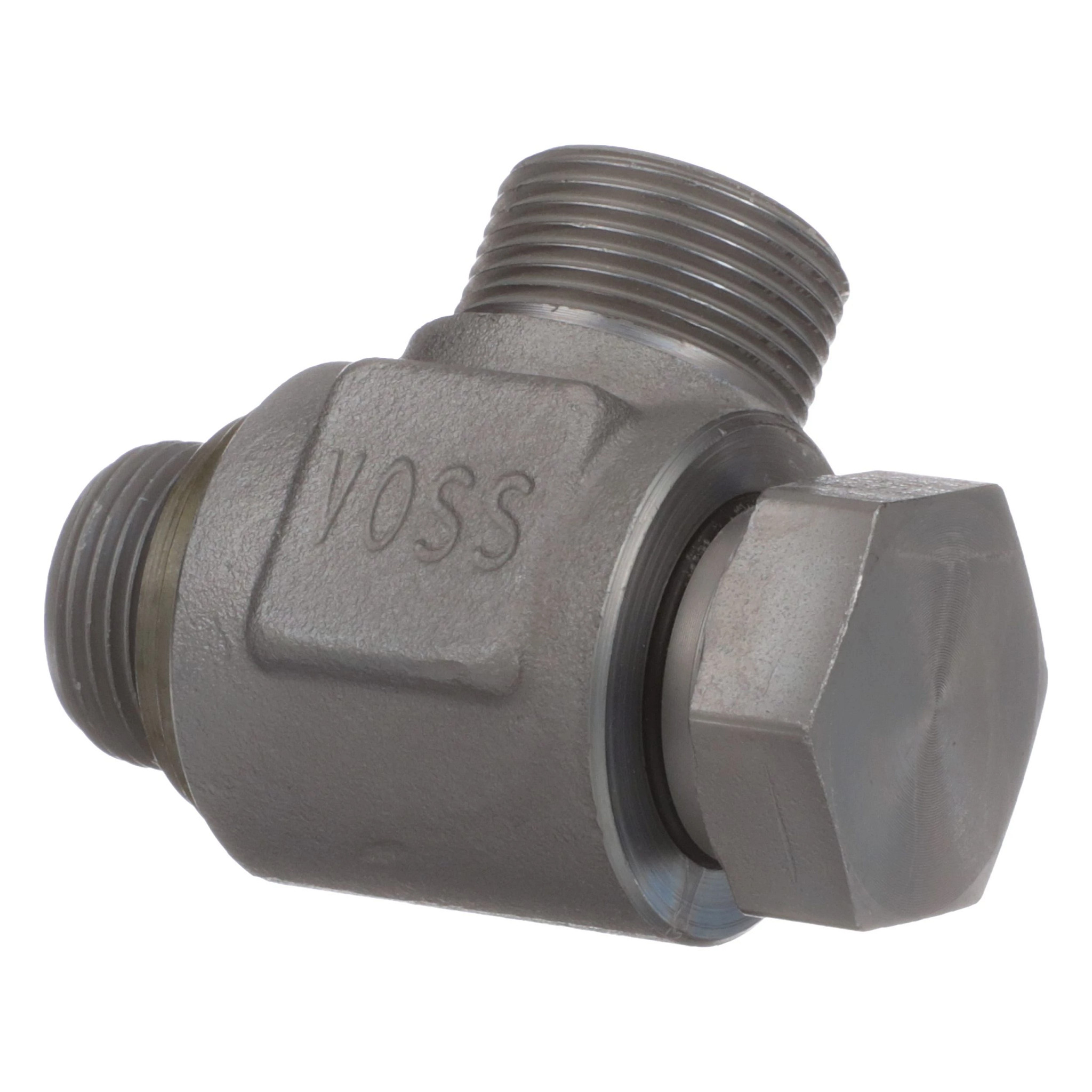 Elbow | CASECE | CA | EN