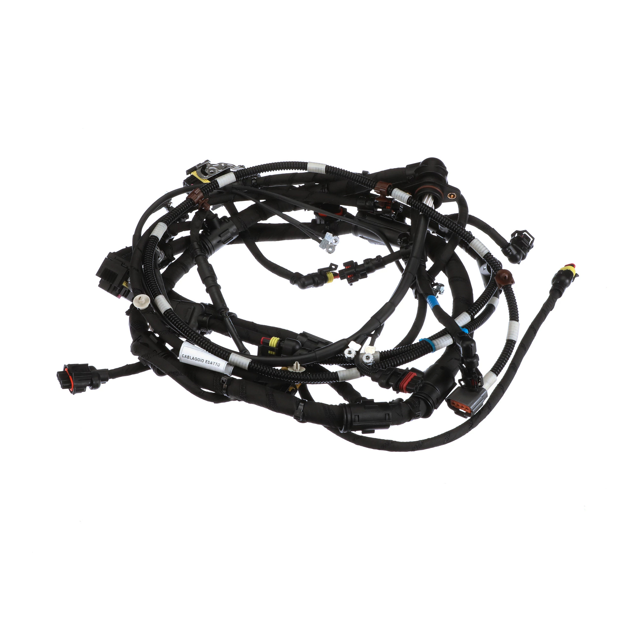 Engine Wire Harness | CASECE | BR | PT