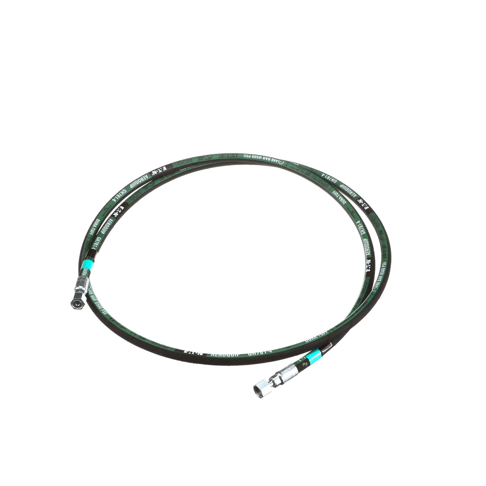 Mangueira | CASECE | BR | PT