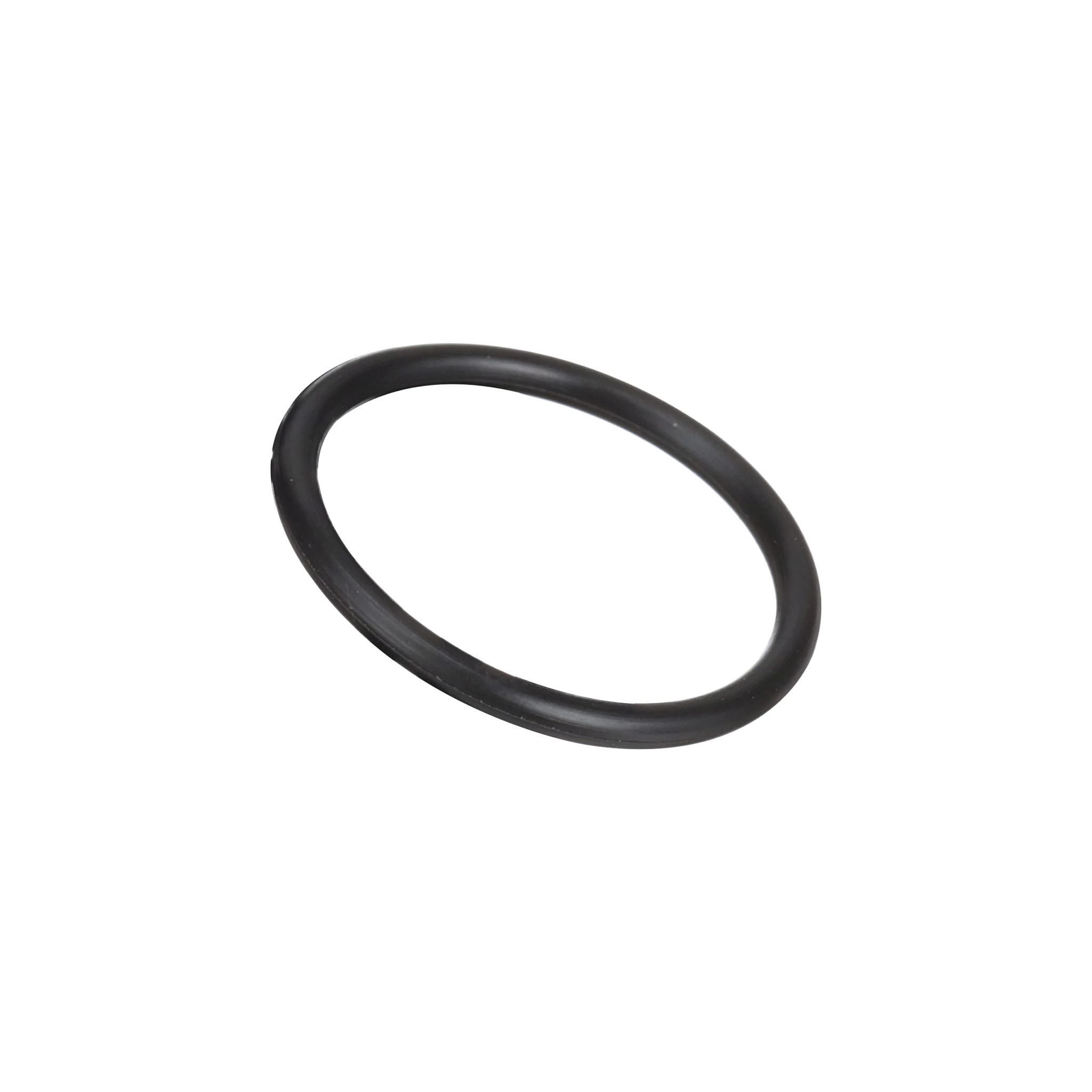 O-RING | CASECE | EU | EN