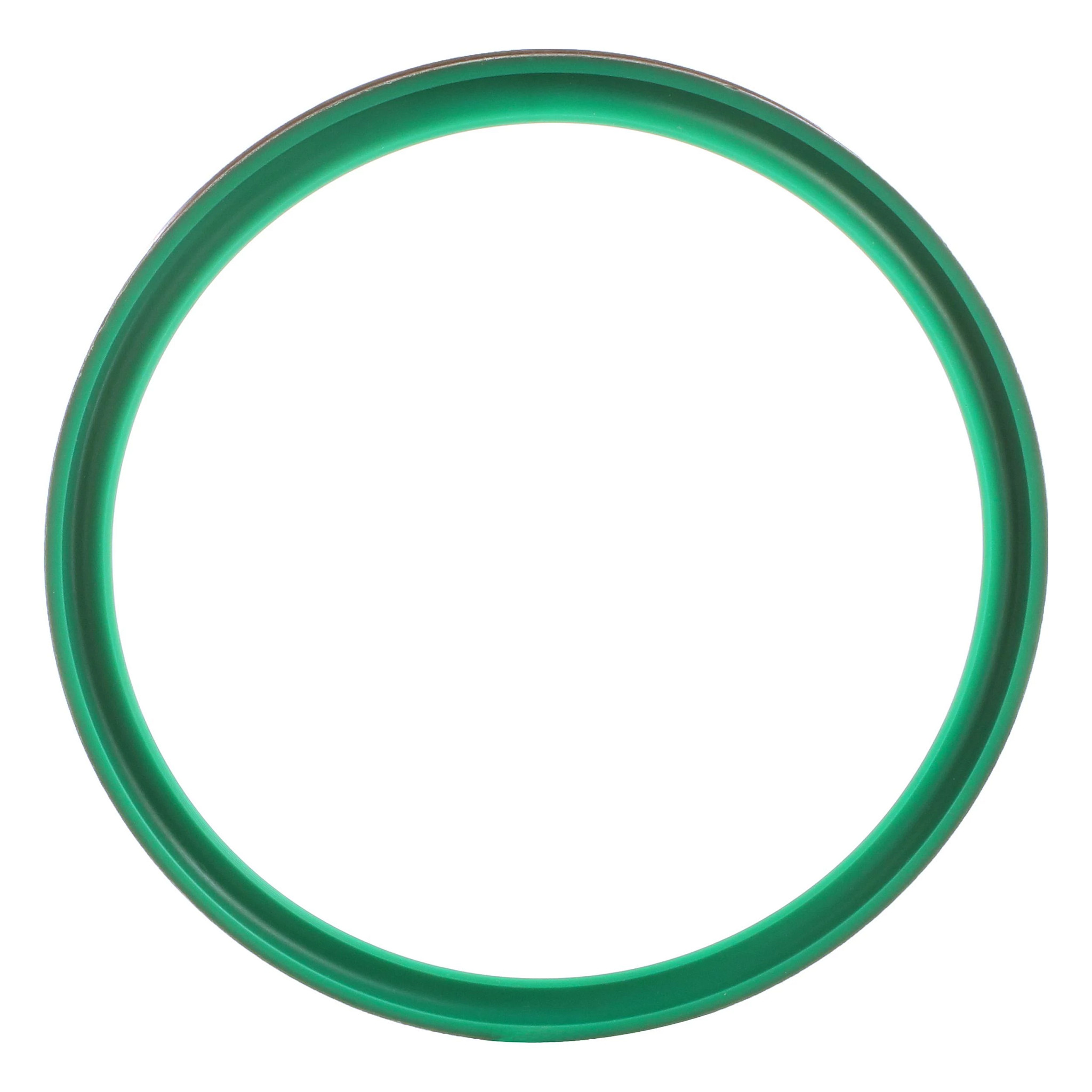 SEALING RING | CASECE | AMEA | EN