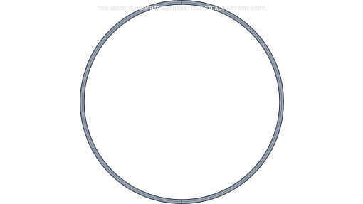 O-RING | NEWHOLLANDAG | EU | PT