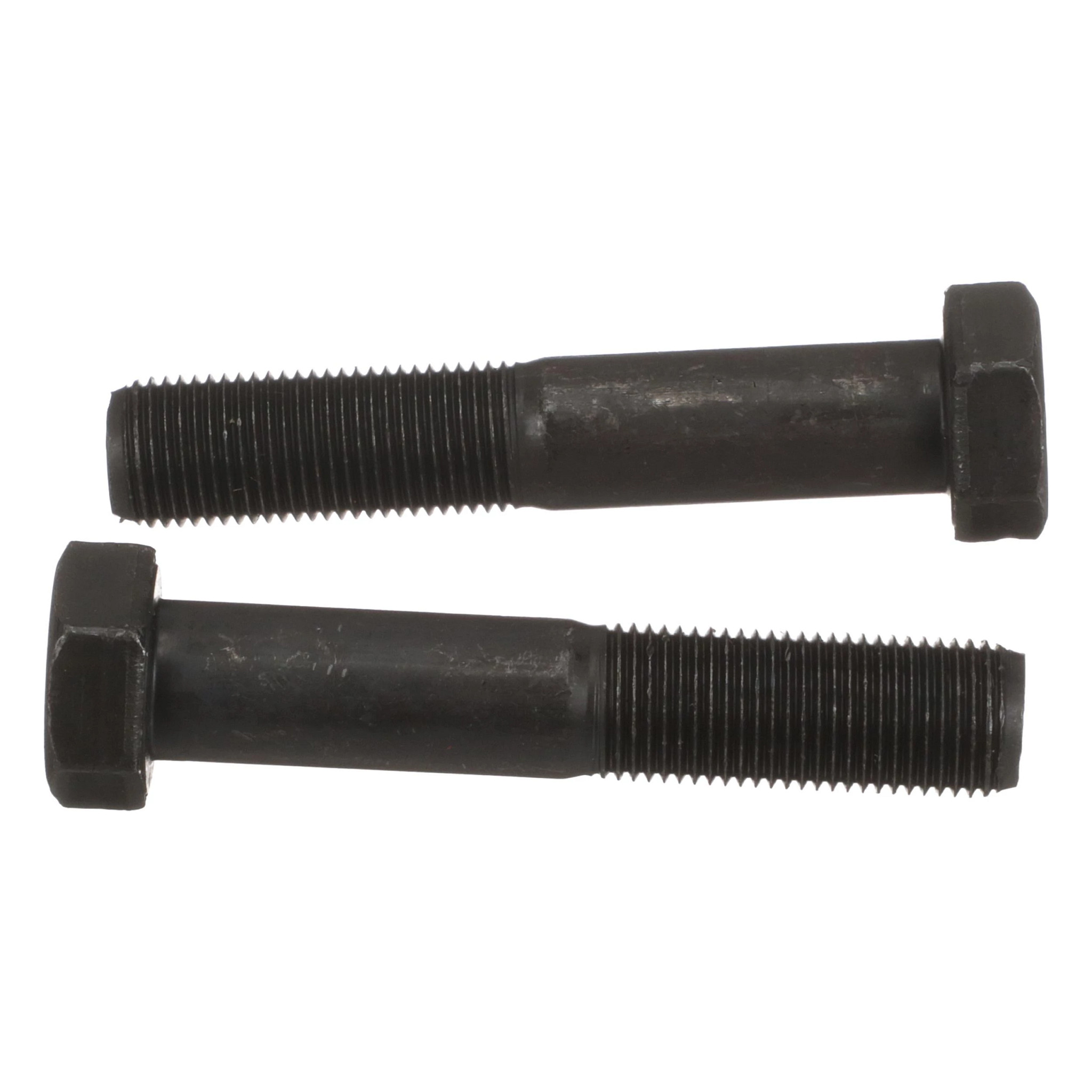 TORNILLO | CASECE | EU | ES