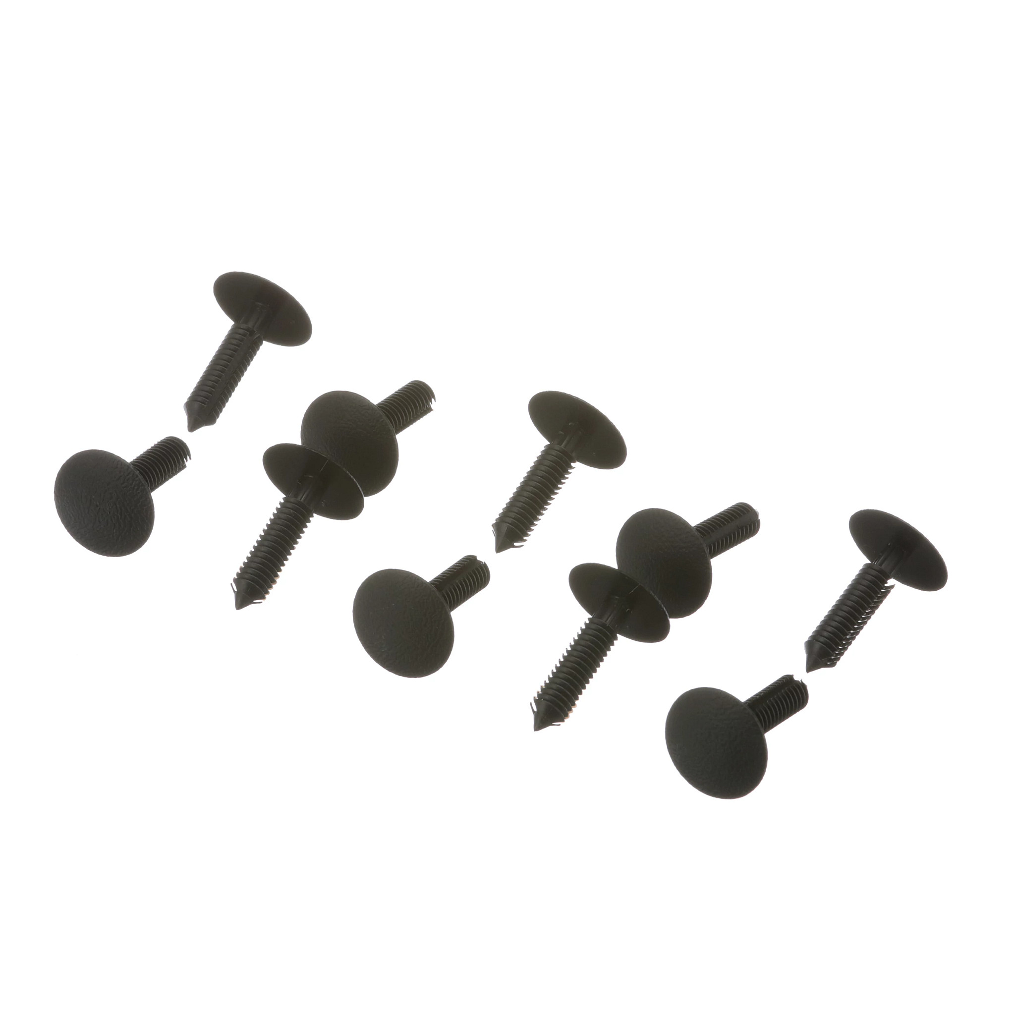 FIXADOR | CASECE | BR | PT