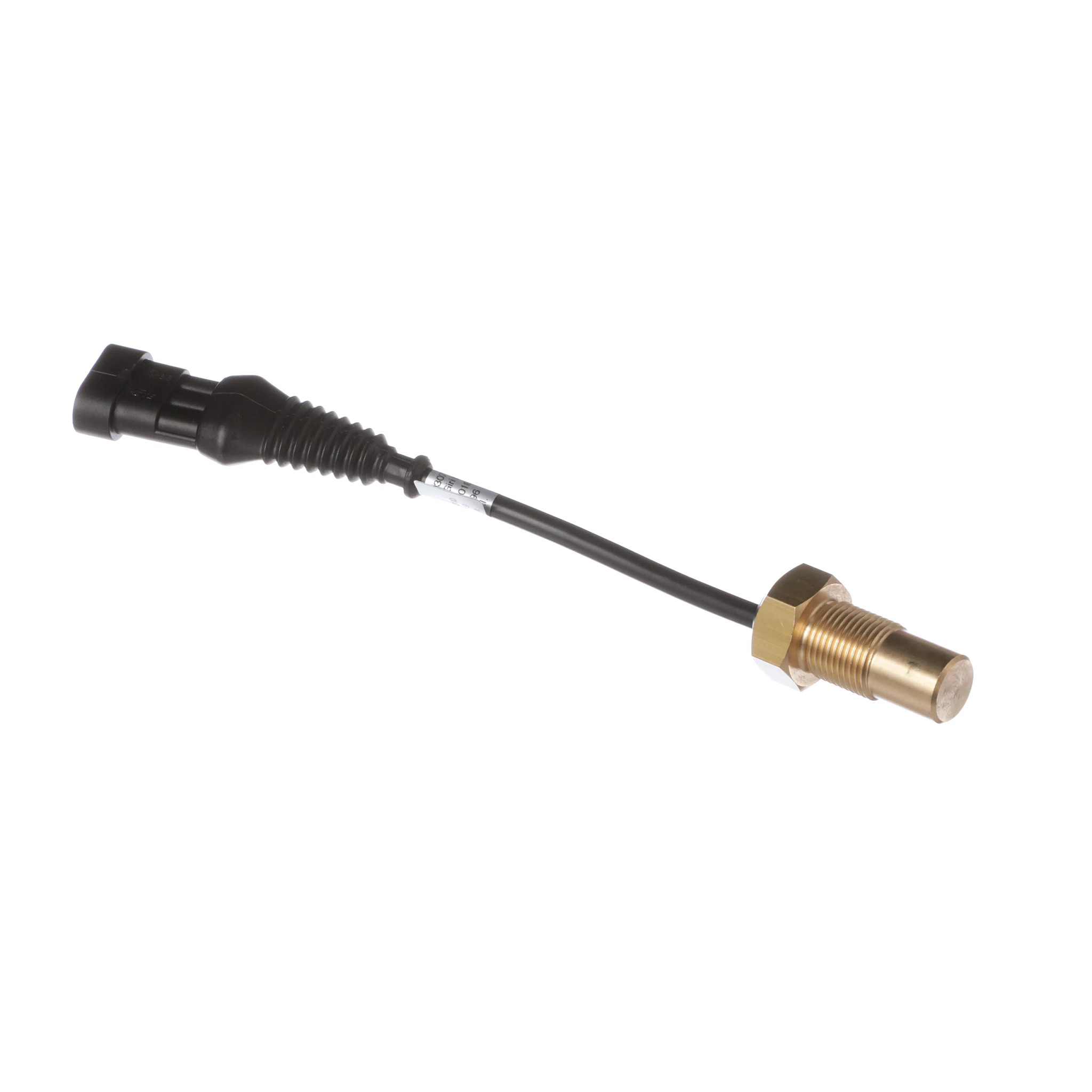 Speed Sensor | CASECE | BR | PT