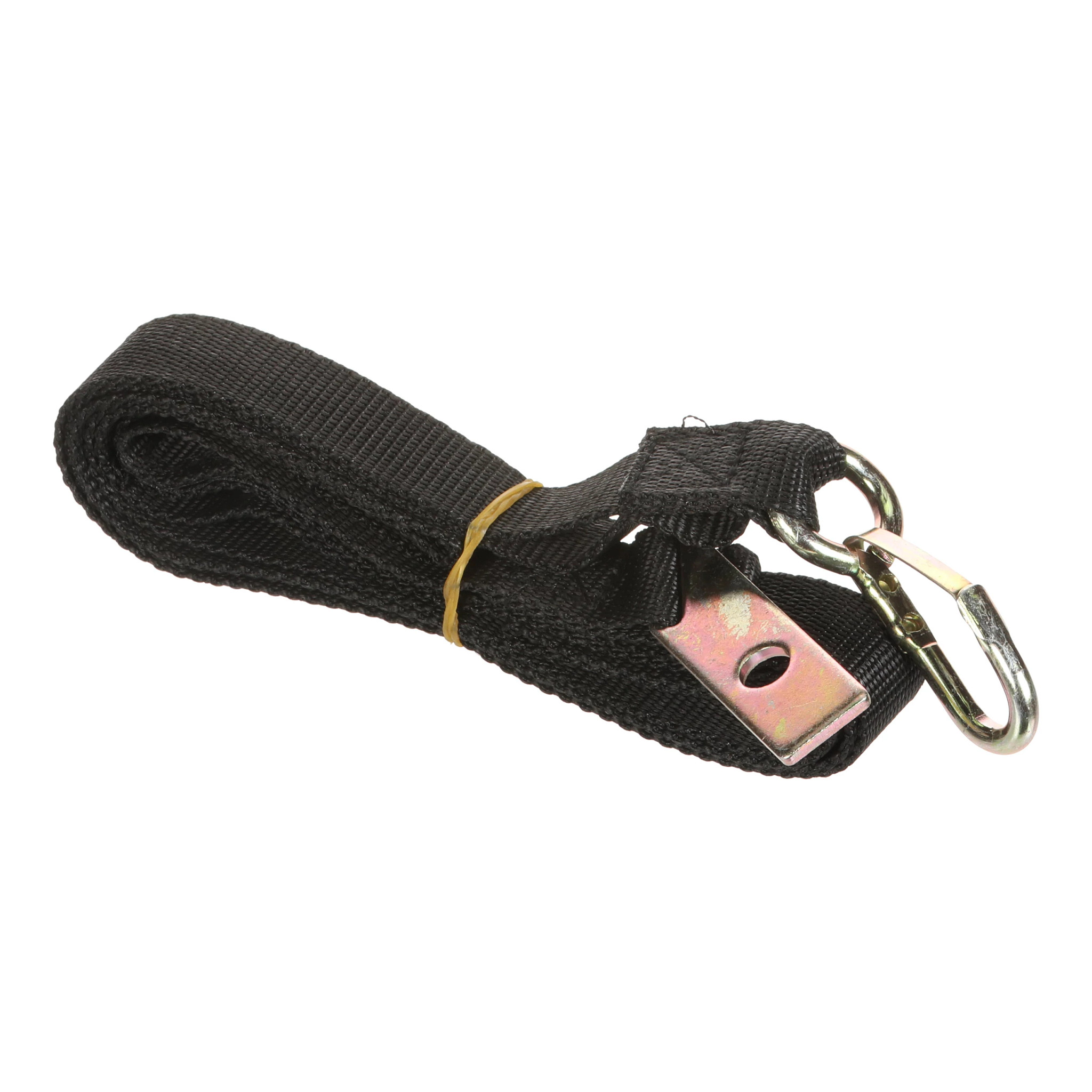 STRAP, SECURING | CASEIH | CA | EN